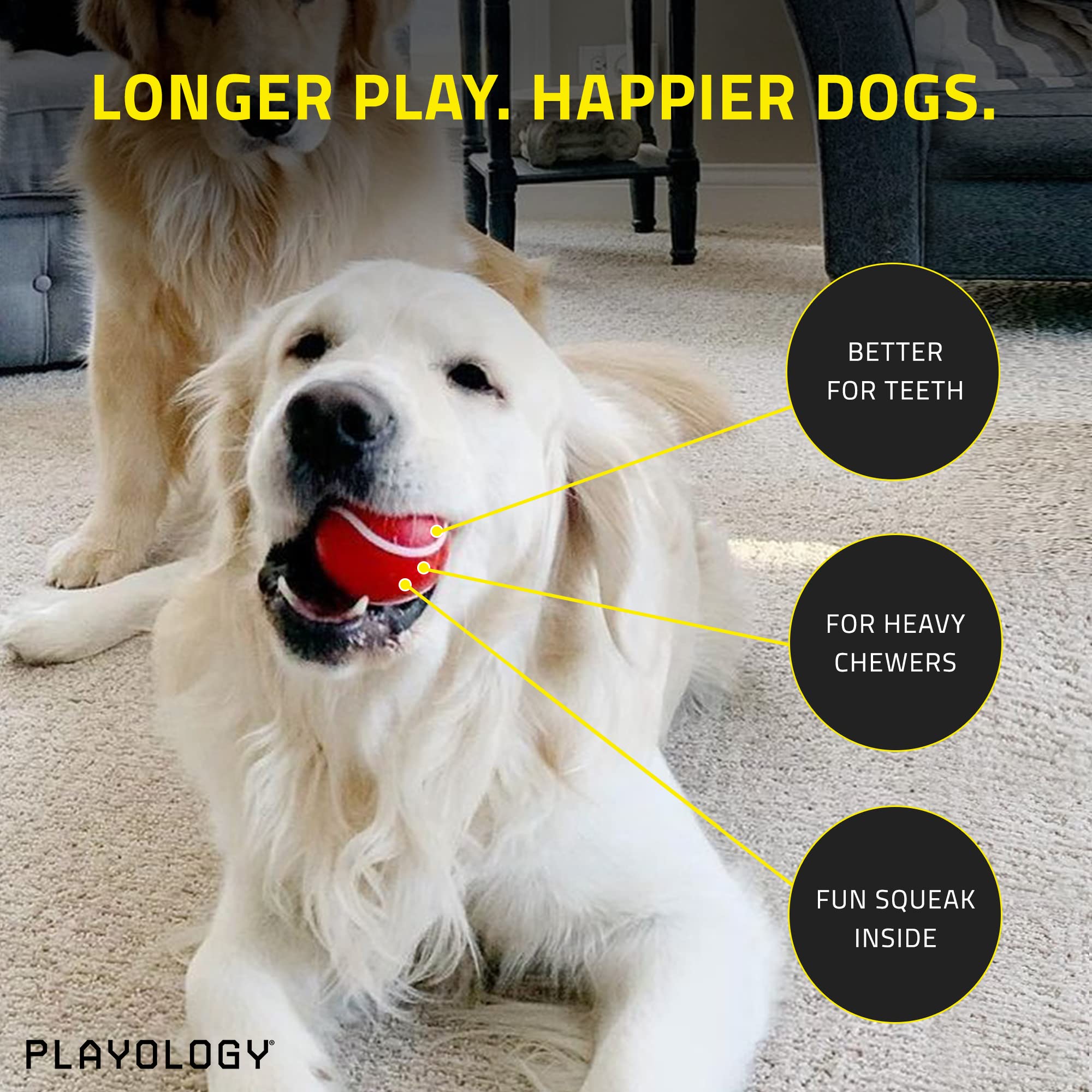 Playology Squeaky Chew Ball for Dogs | Engaging All-Natural Beef Scented Dog Toy for Medium Dogs up to 50lbs | Squeak, Fetch, an