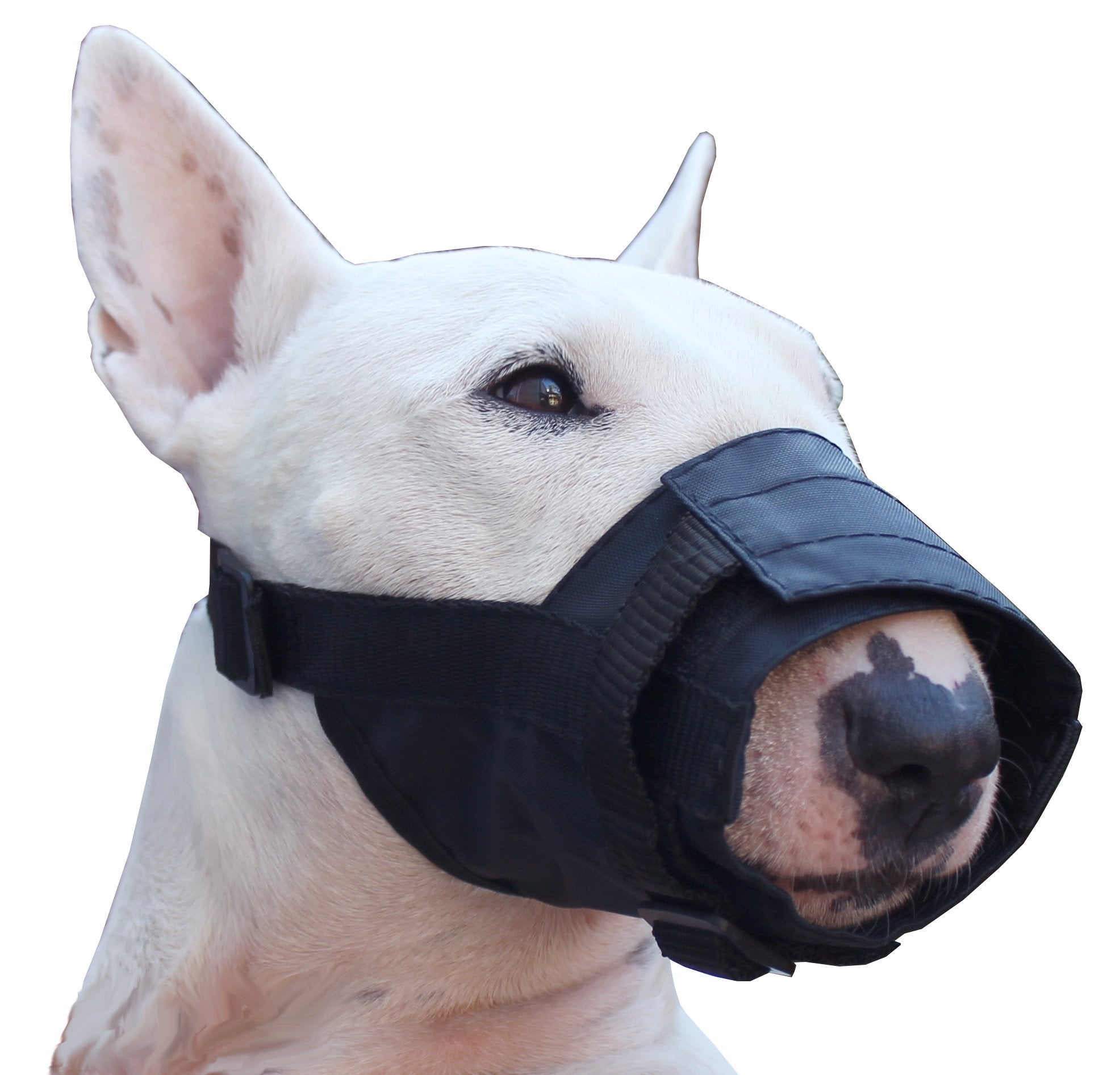 Nylon Dog Muzzle Adjustable Black (Medium: 7.5'-10.25' Snout)