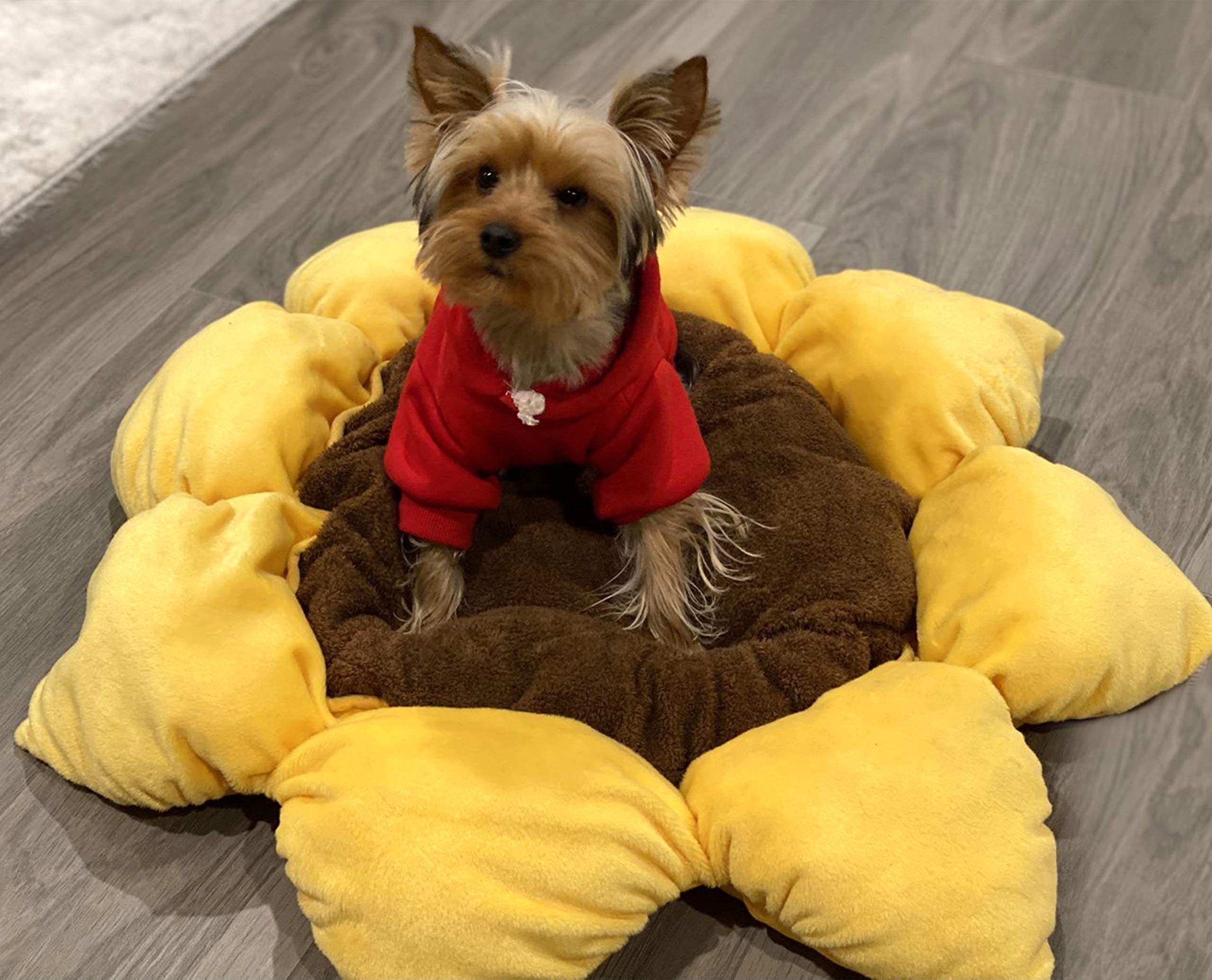 TONBO Soft Plush Dog Cat Bed, 24" Diameter, Polyester, Washer & Dryer Friendly, Sunflower Color, Model 13253