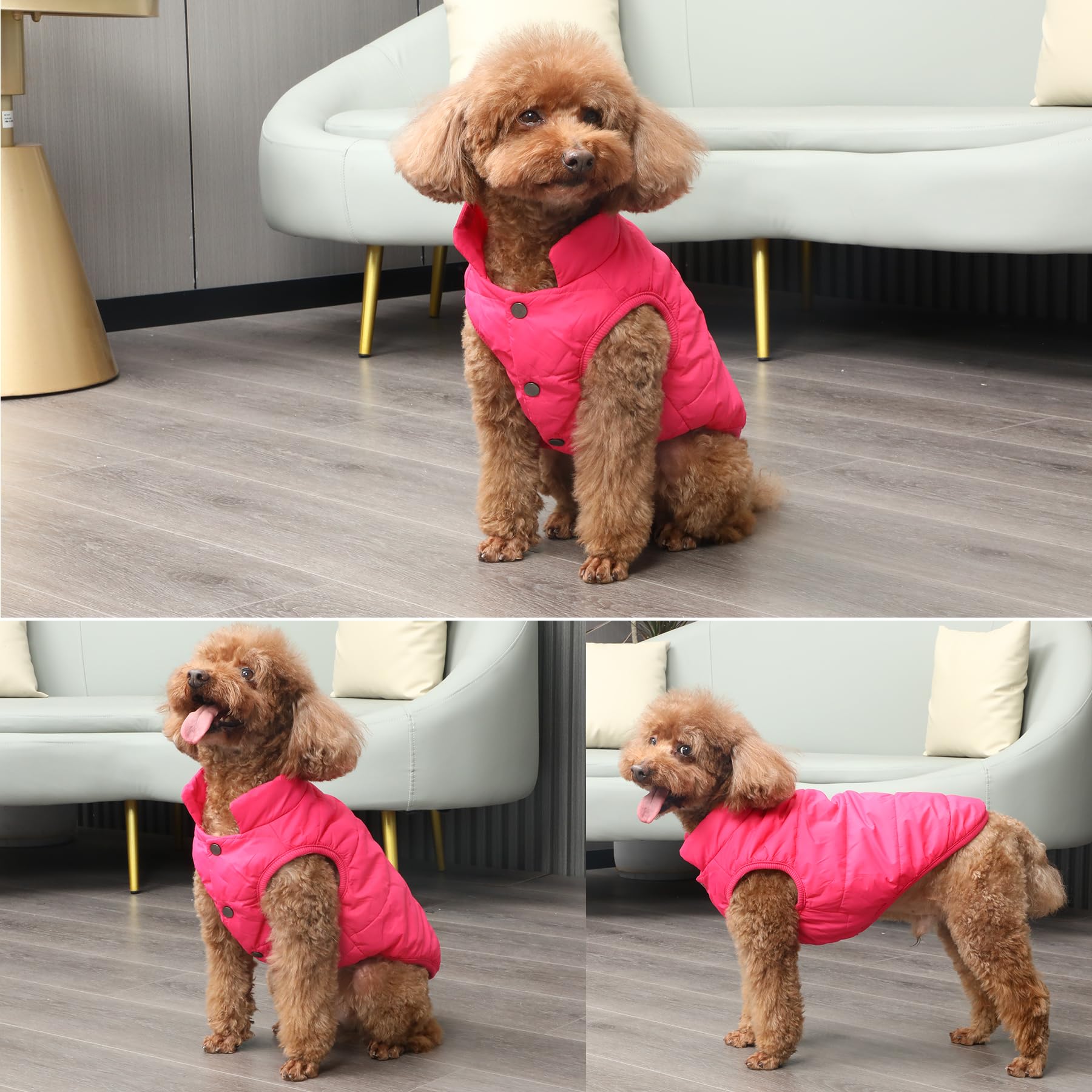 Joydaog 2 Layers Fleece Lined Warm Dog Jacket For Winter Cold Weather,Soft Windproof Medium Dog Coat,Pink Xl