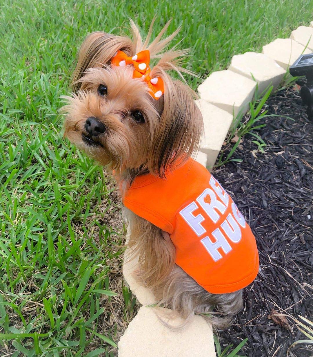 Parisian Pet Free Hugs Dog T-Shirt, Xx-Small