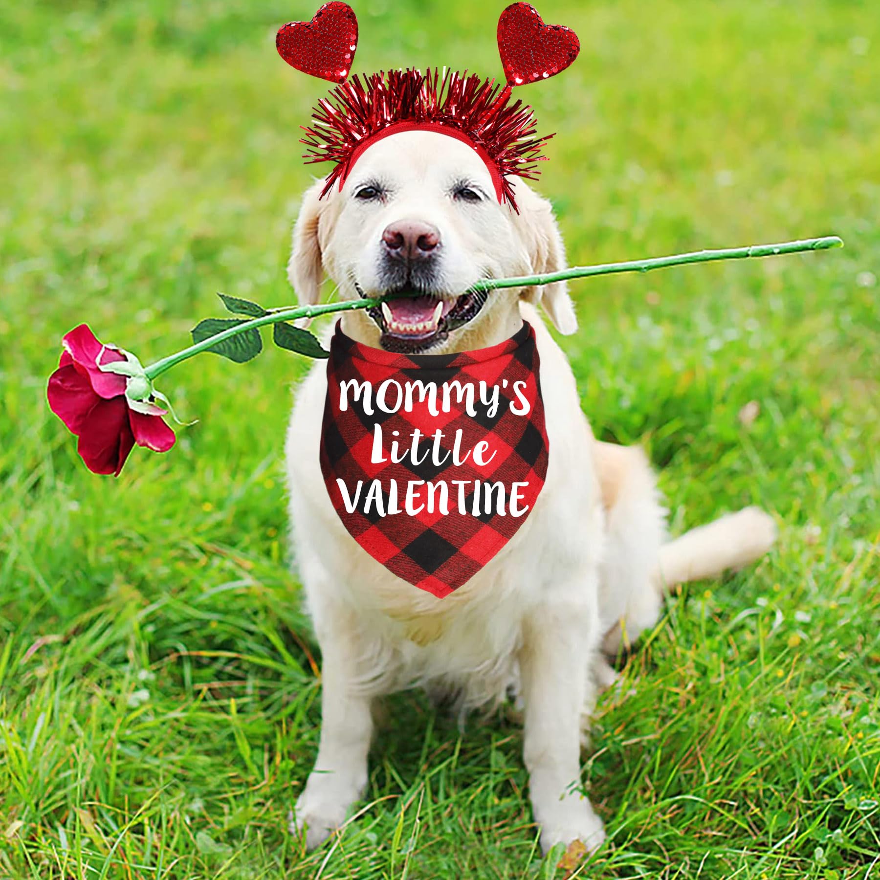 JOTFA Valentine 's Day Dog Bandanas Costumes, Valentines Dog Outfits Heart Headband Dog Valentines Bandanas for Small Medium Lar