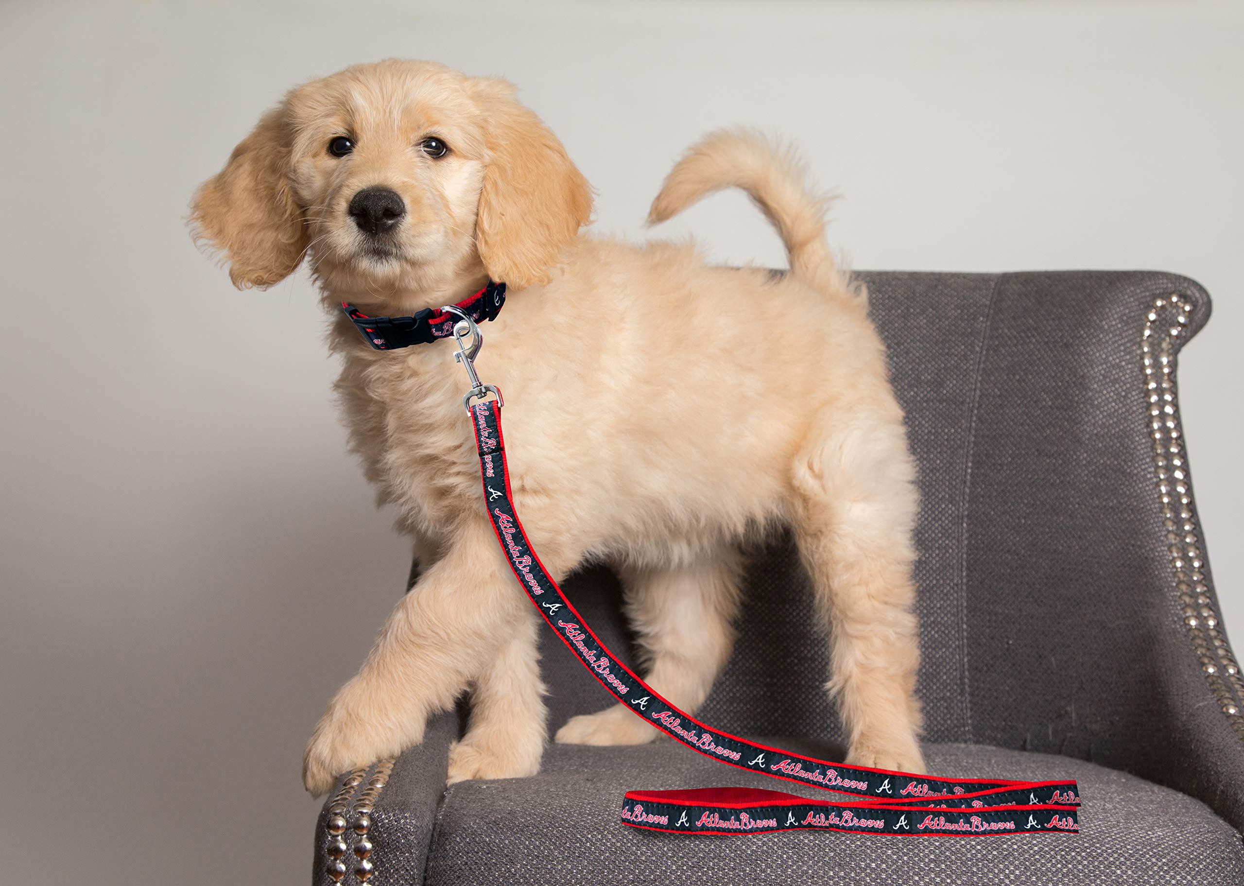 Mlb Pet Leash, Small, Atlanta Braves Dog Leash, Baseball Team Leash For Dogs & Cats. A Shiny & Colorful Dog & Cat Leash With Emb