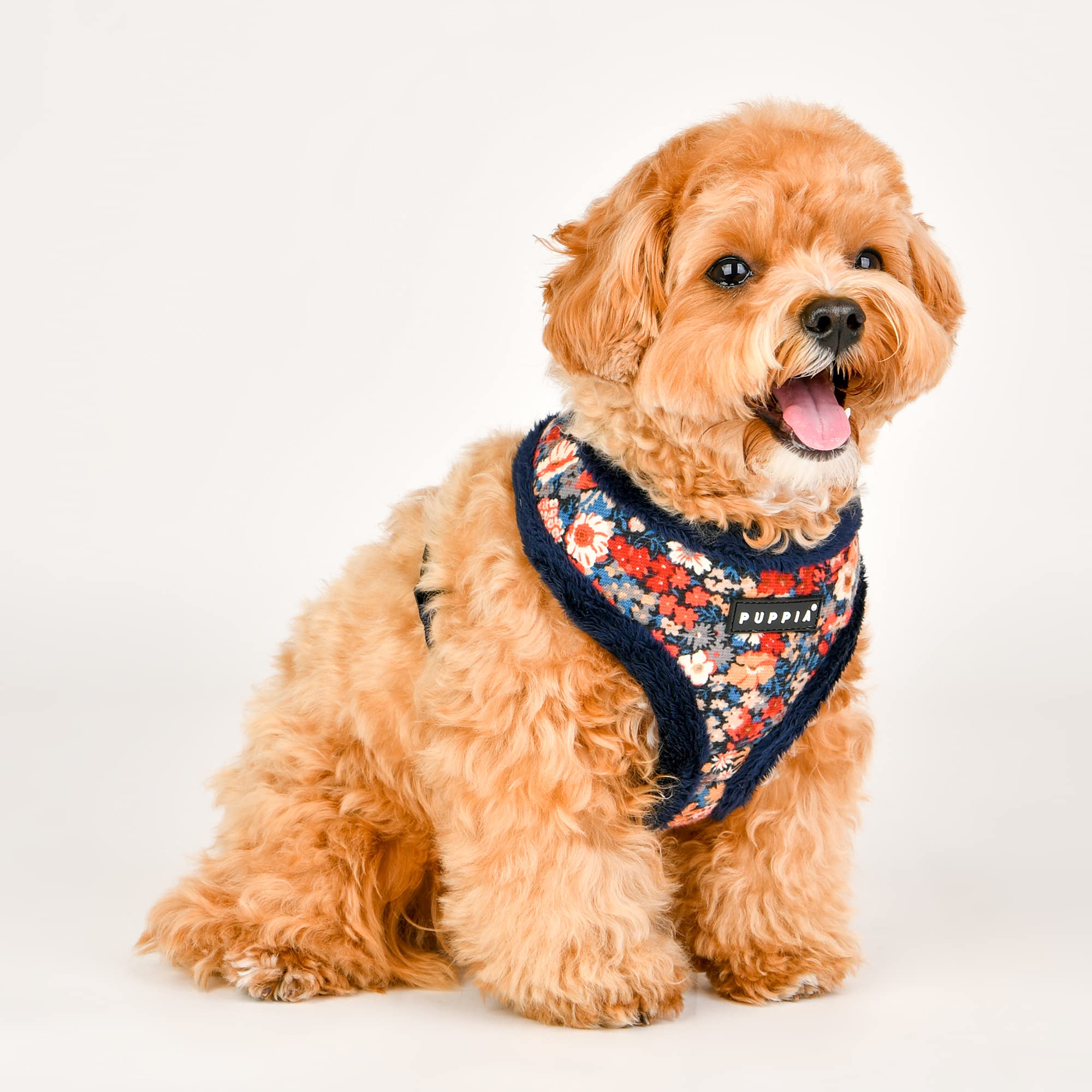 Puppia Gianni Dog Harness Over-The-Head Warm Winter Flower Pattern Adjustable Chest For Small And Medium Dog, Navy, Small