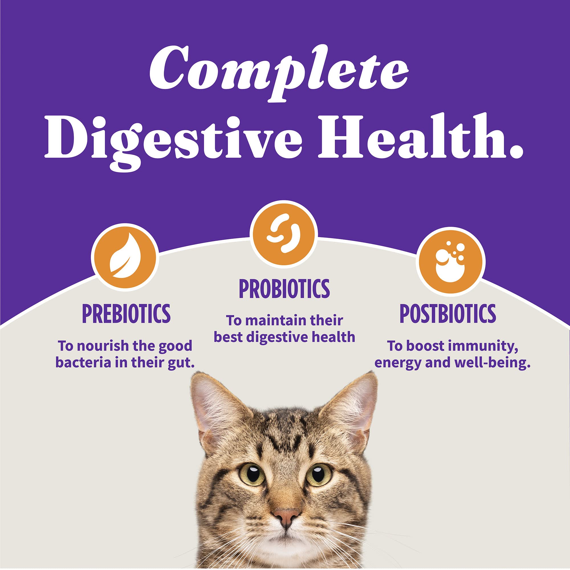 Halo Holistic Cat Food Dry, Cage-free Chicken Recipe, Complete Digestive Health, Dry Cat Food Bag, Adult Formula, 3-lb Bag