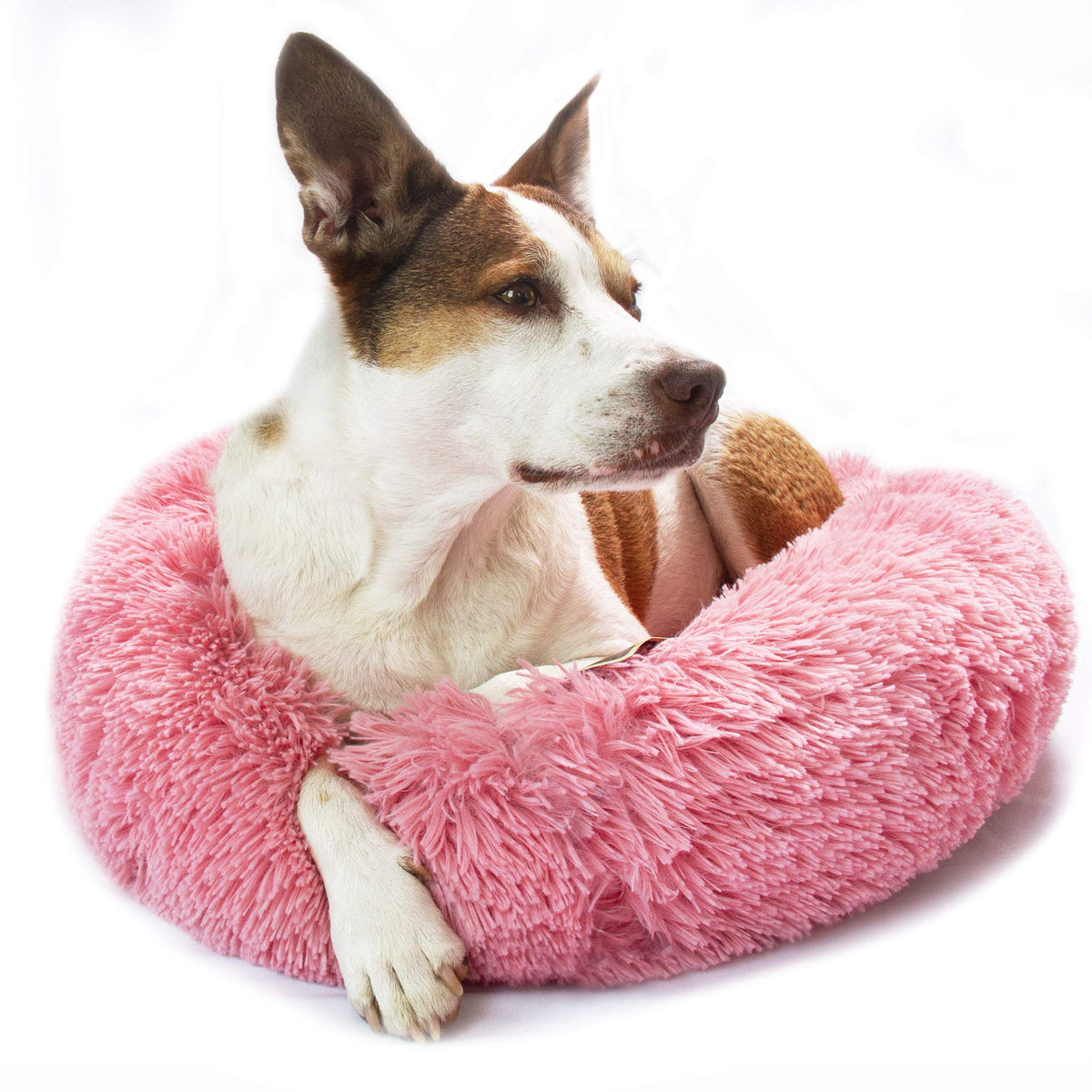Bow Wow Pet Ultra Plush Shaggy Round Donut Dog Pet Bed, Pink (5371Pink)