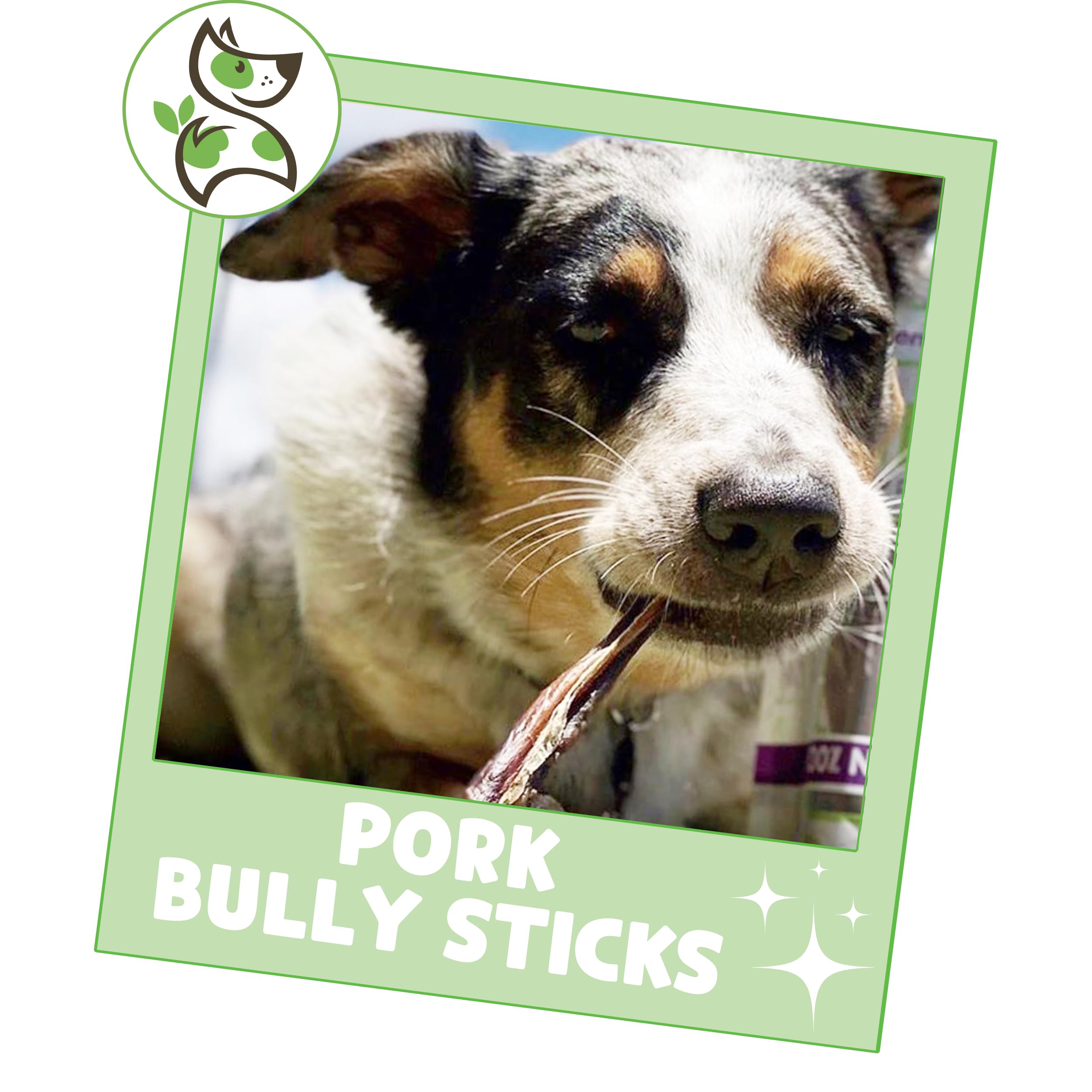 Nature Gnaws Pork Bully Sticks For Dogs - Premium Natural Dental Bones - Long Lasting Dog Chew Treats For Small Dogs & Puppies -