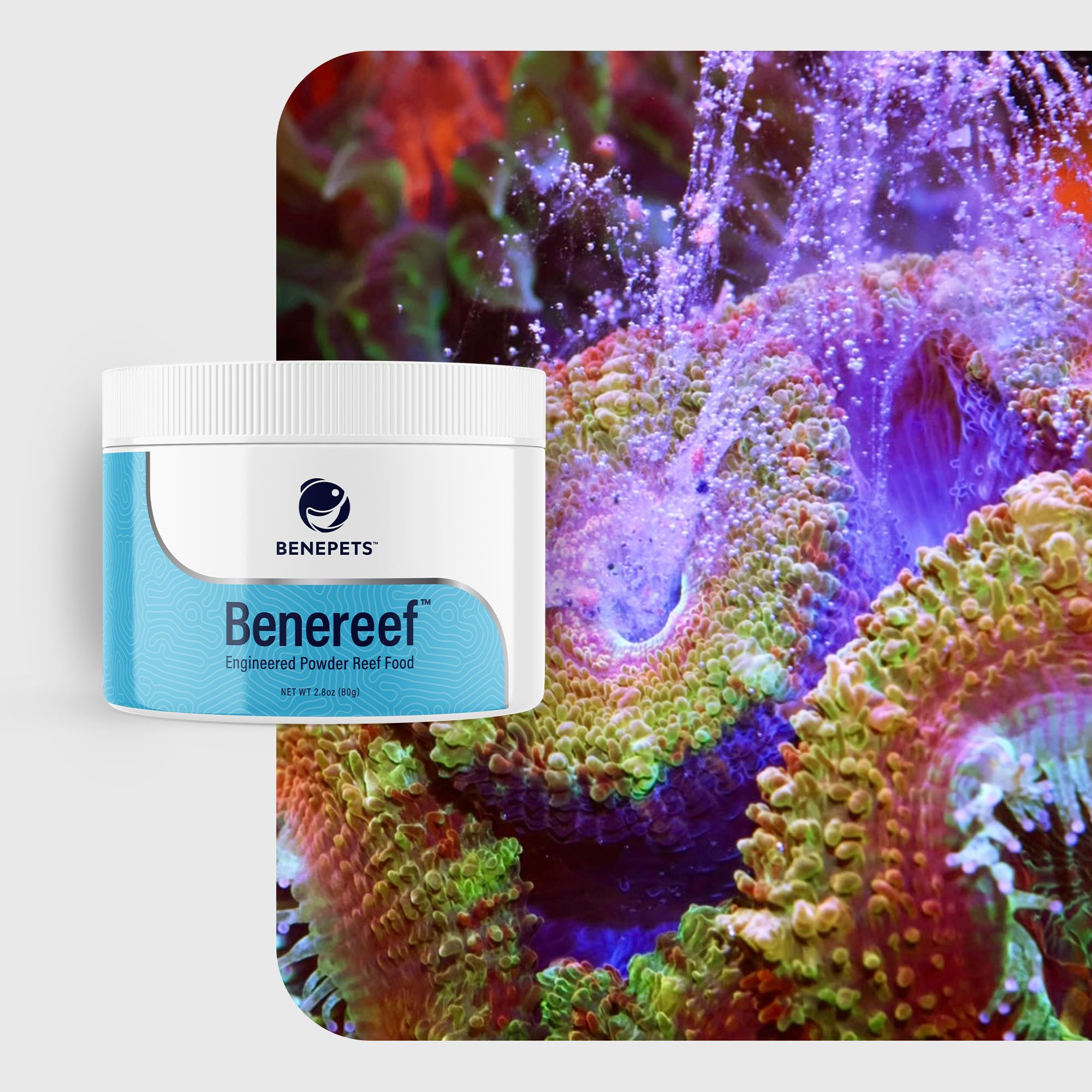 Benereef 80g Jar