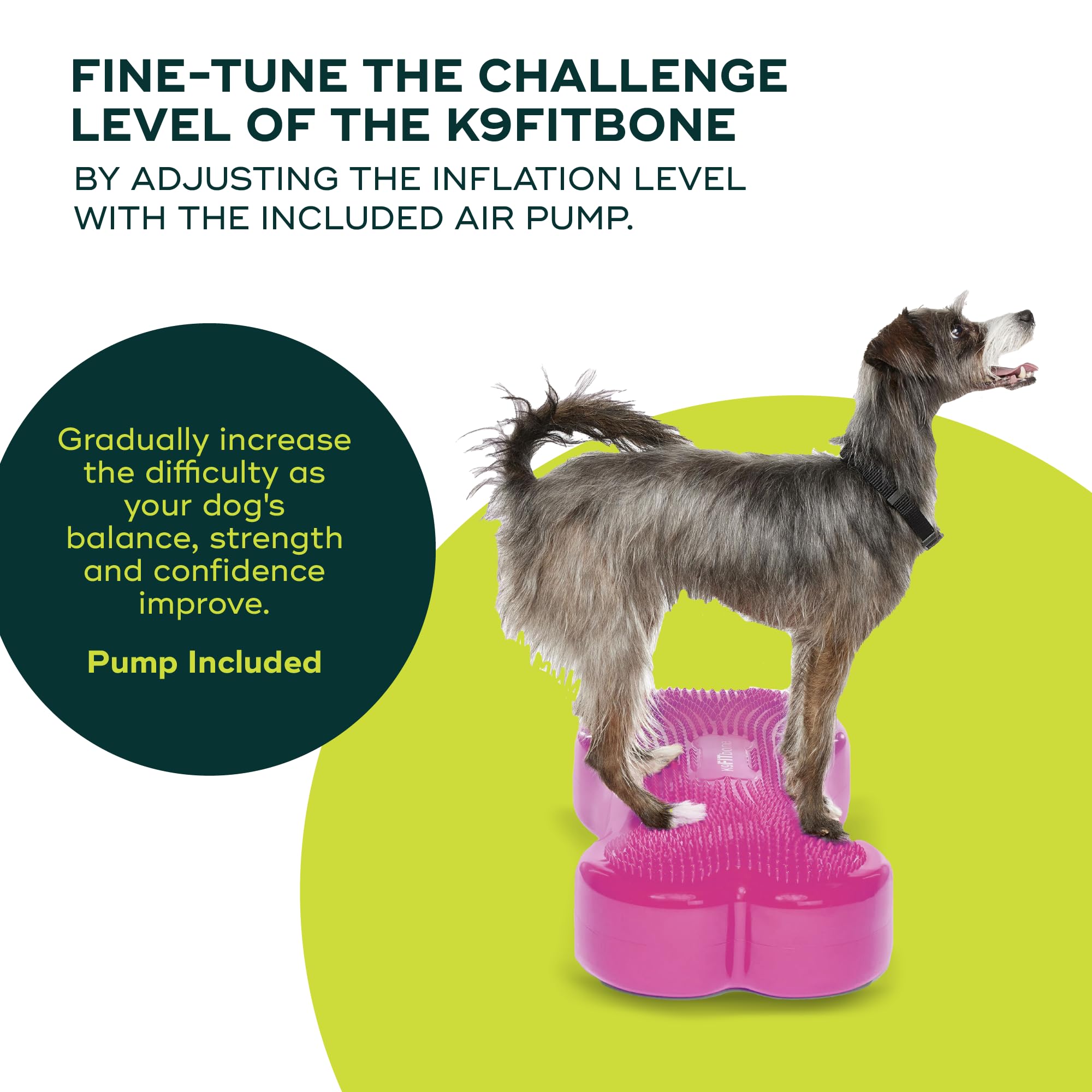 Fitpaws® K9Fitbone® - Regular, Razzleberry | Dog Balance Training Platform & Exercise Equipment | Workout Tool For Strength, Core & Stability