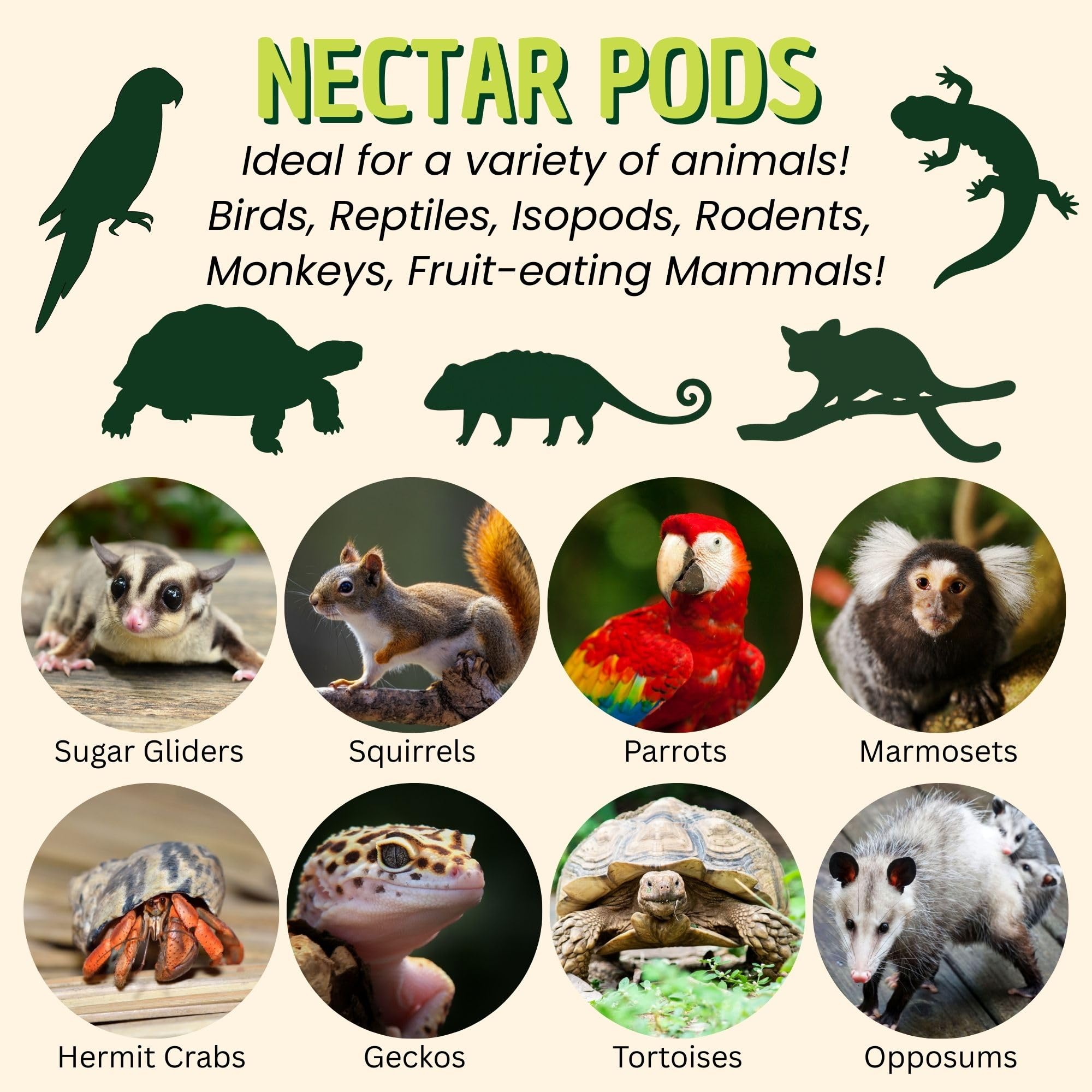 Exotic Nutrition Nectar Pods Variety 5 Pack - 40 Calcium-Fortified Jelly Fruit Pods for Small Pets