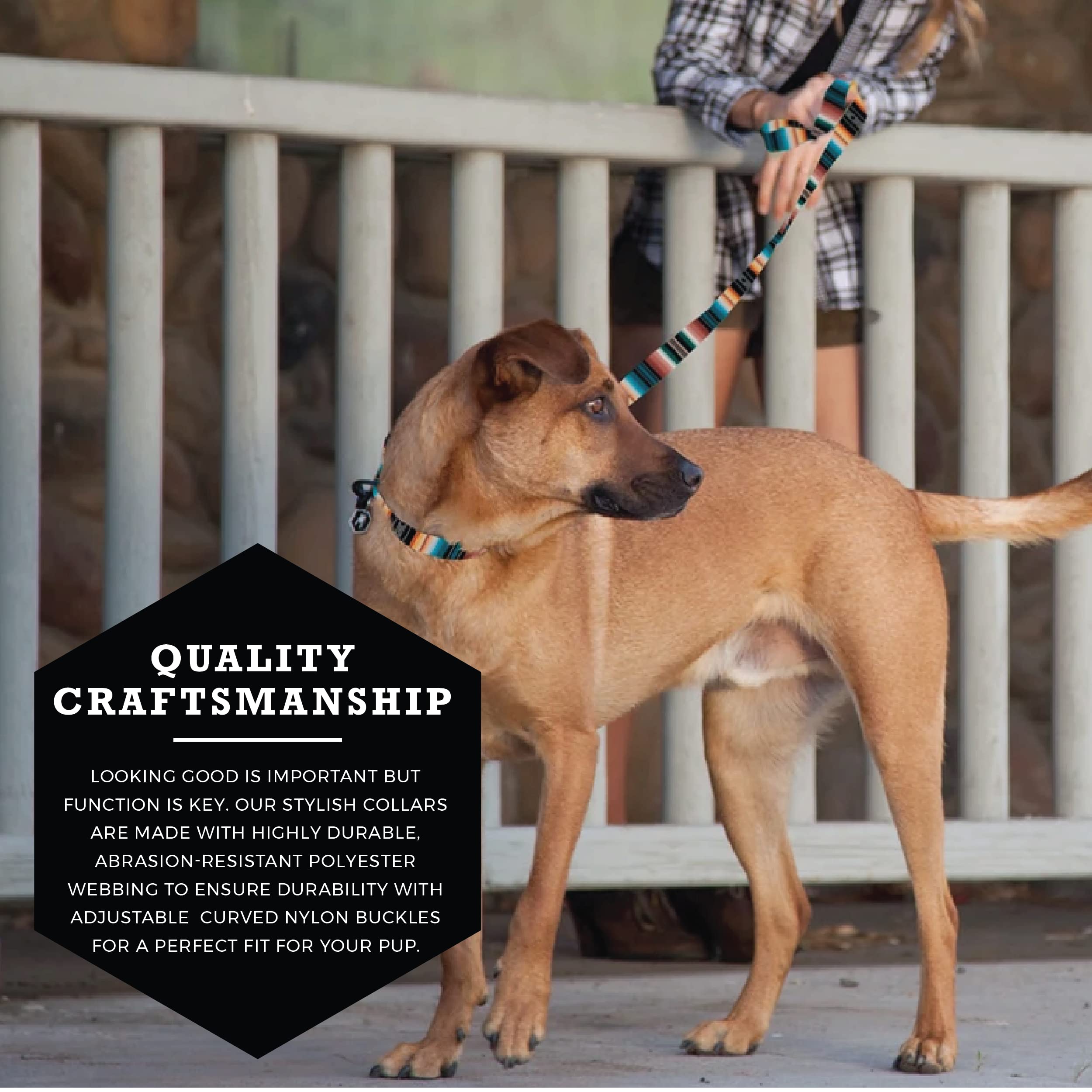 Wolfgang Heavy Duty, Adjustable Dog Collar With Quick Release Nylon Buckle For Walking & Training, Lostart Print, Small