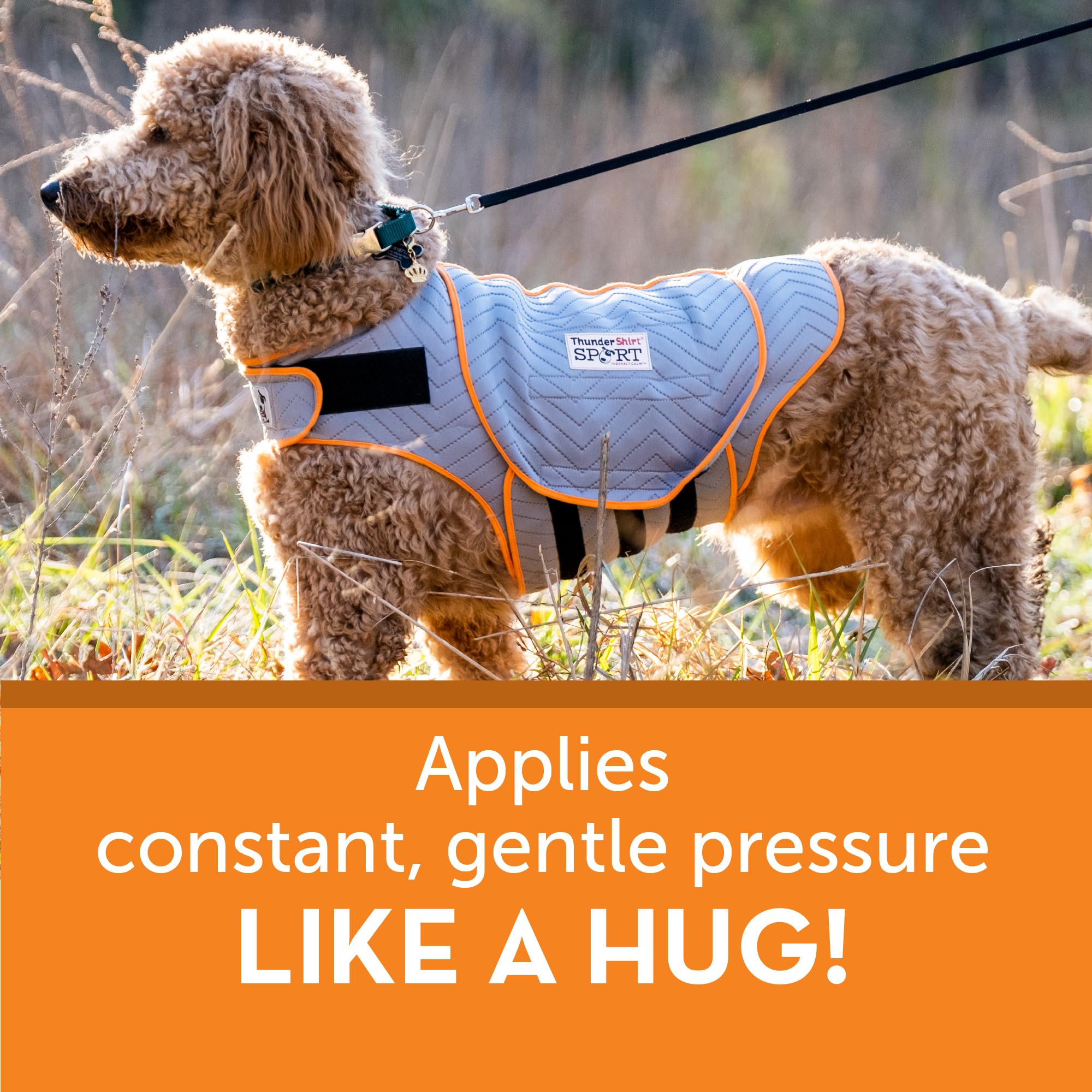 ThunderShirt for Dogs, X Large, Platinum Sport - Dog Anxiety Relief Calming Vest