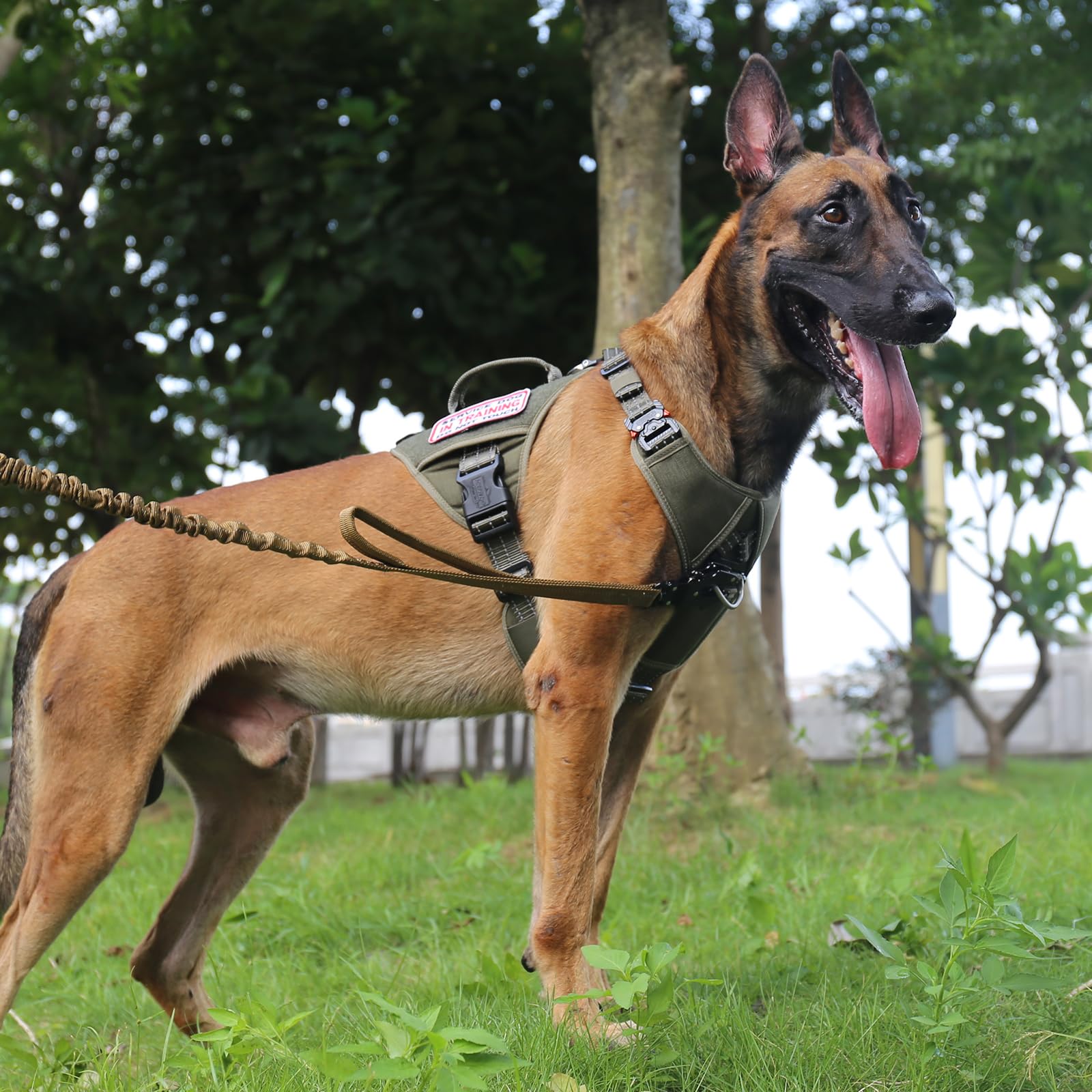 Icefang Gn8 Quick-Moving Tactical Dog Harness With 2Xmetal Buckles For Large Sized Dogs,Reflective K9 Vest,No-Pull Front Leash Clip,5-Points Adjustable Pet Harness (Green, Large (Pack Of 1))