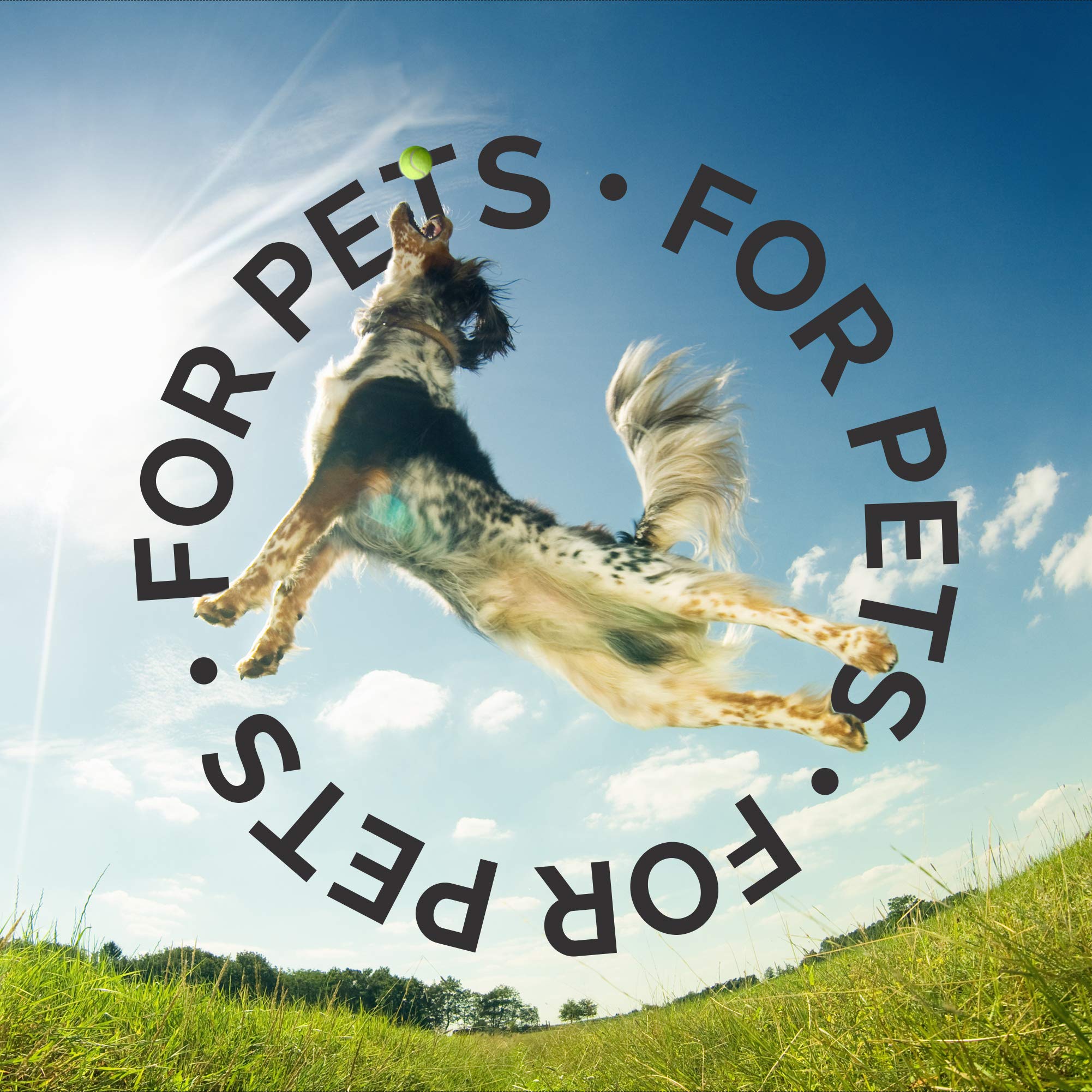 Bark2Basics Blueberry D-Mat Dog Conditioner, 1 Gallon - All Natural, Multi-Purpose, Static Eliminating, Loosens Mats & Aids Deshedding