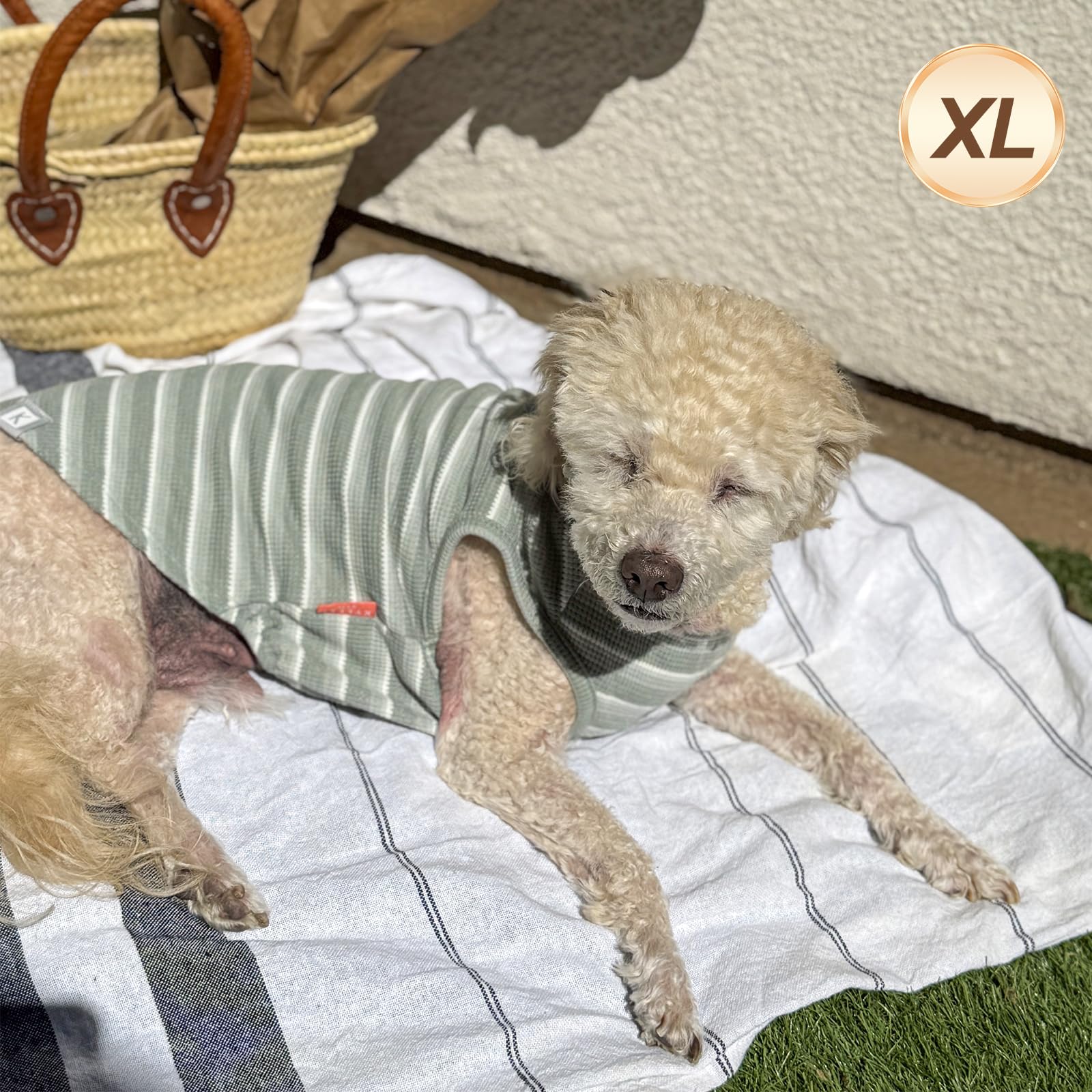 Kyeese 2Pack Waffle Dog Shirts For Small Dogs Stretchy T-Shirts Lightweight Tank Top Sleeveless Striped Vest Breathable Pet Tee,