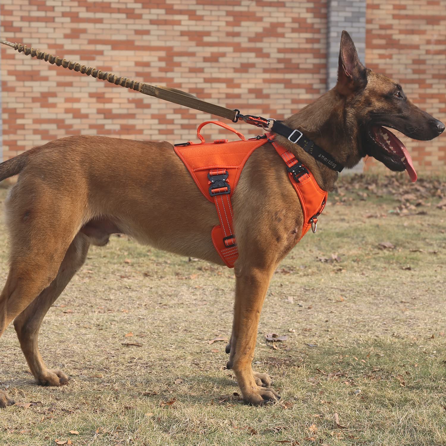 Icefang Gn8 Quick-Moving Tactical Dog Harness With Handle,Reflective In Training Walking K9 Vest,No-Pull Front Lead,5-Points Adjustable,Hook And Loop Panels (Elite Orange, Medium (Pack Of 1))