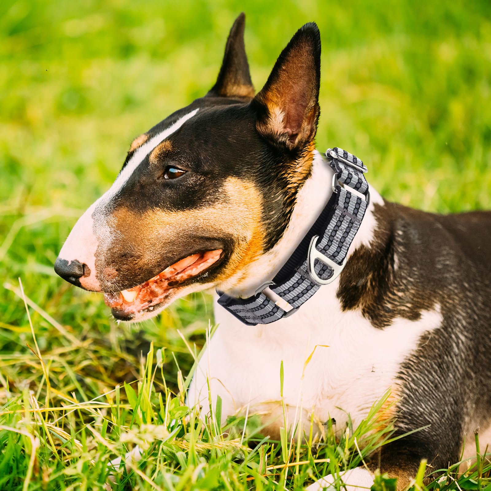 Reflective Martingale Collar For Large Dogs With Quick Release Buckle Adjustable Training, Walking, Hunting No Slip Collars,(Sli