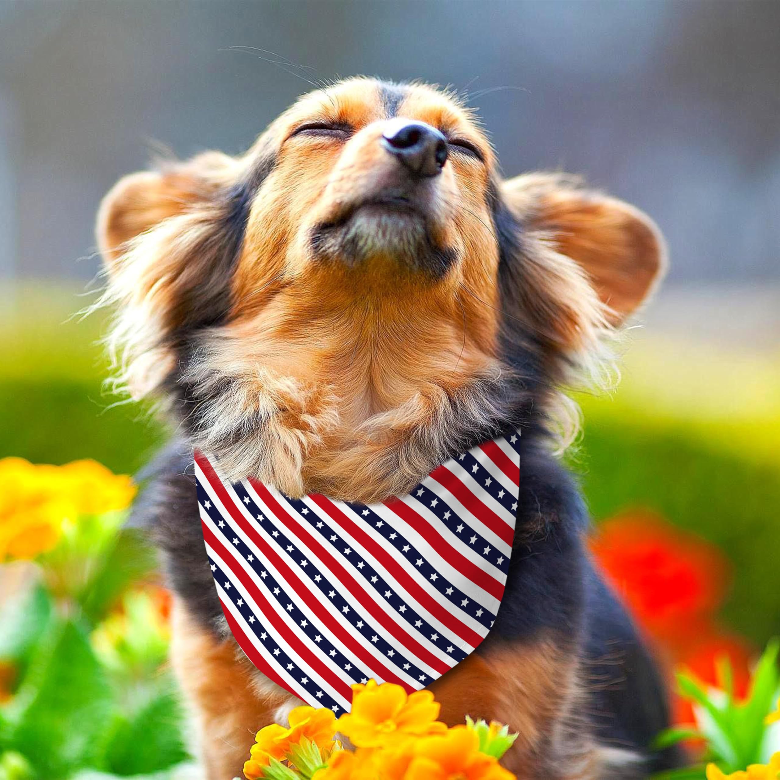 4Th Of July Dog Bandana Reversible 2 Pack Small, Red White And Blue Dog Paw Star Patriotic Dogs Bandanas Set Adjustable Triangle
