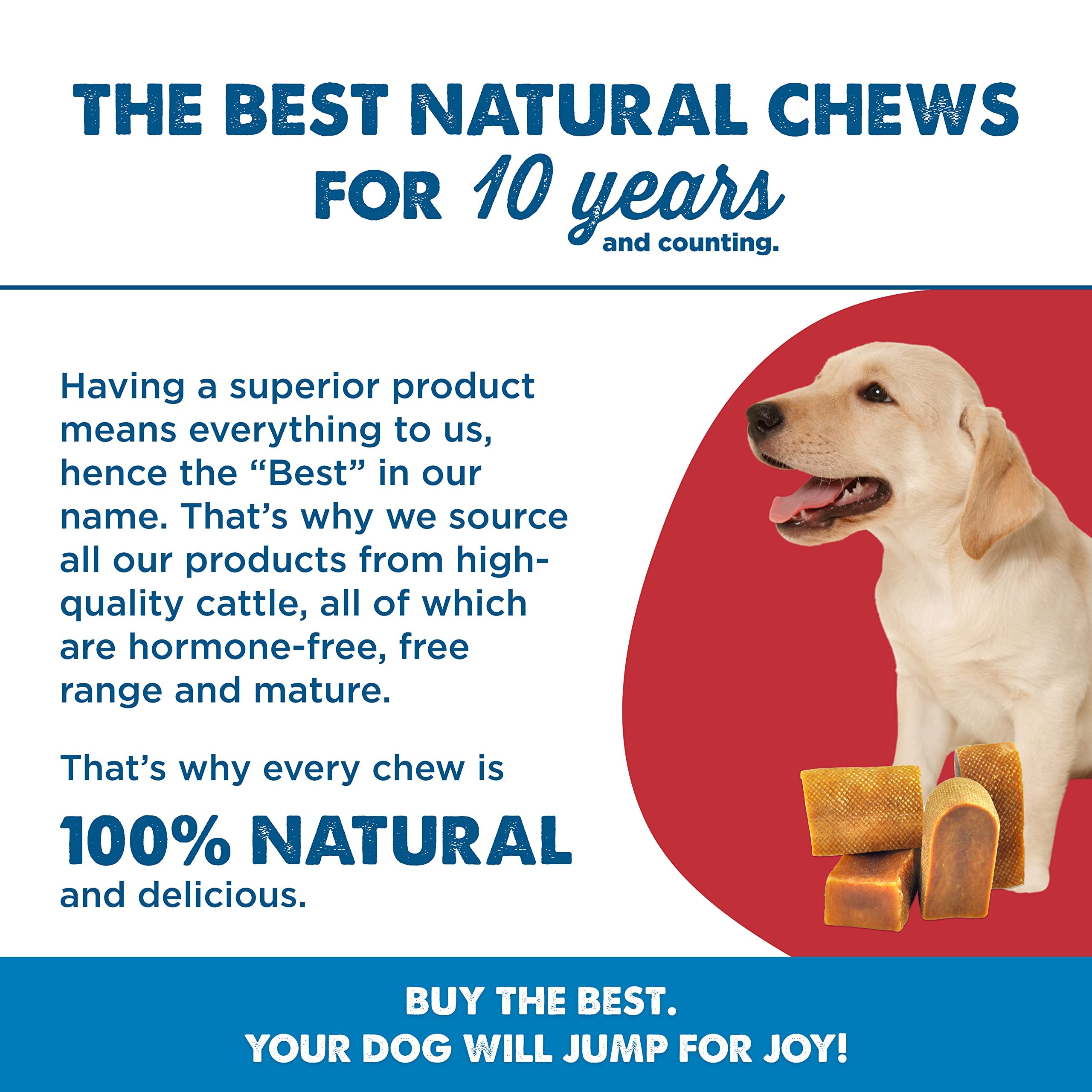 Best Bully Sticks Himalayan Yak Cheese for Dogs - Small 4 Count (Pack of 1) - Natural, No Lactose, Odor Free, Long-Lasting Snack