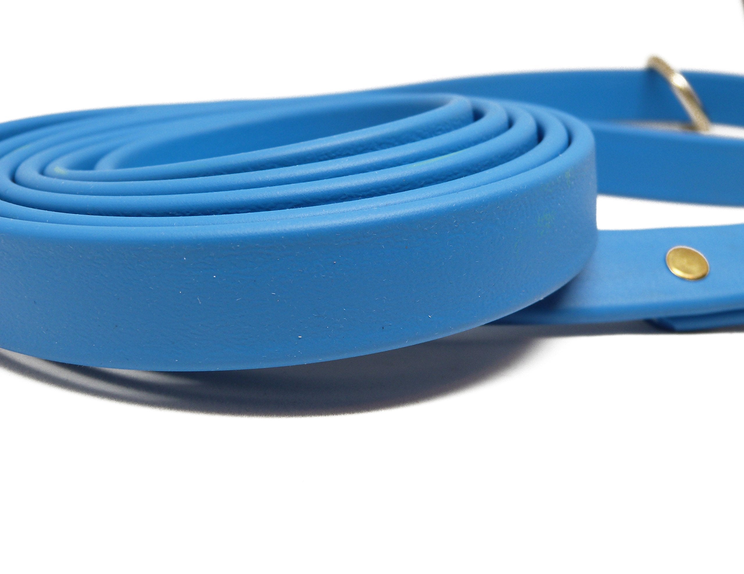 Jim Hodges Dog Training Gummy Dog Leash, Biothane, Dog Training Leash, Made In The Usa, 4 Feet, Various Sizes & Colors (3/4, Light Blue)
