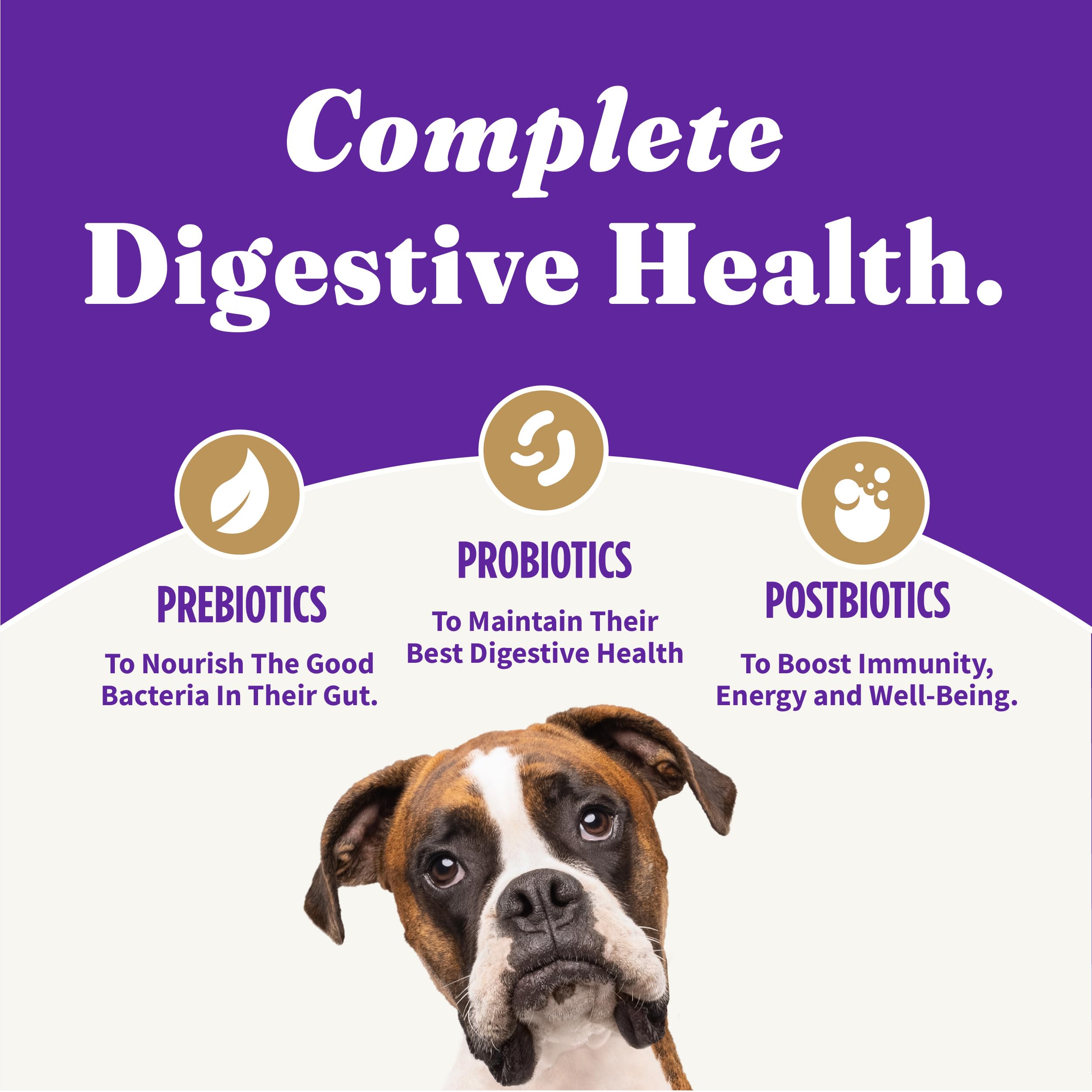 Halo Holistic Vegan Dog Food, Plant-Based Peanut Butter Recipe, Dry Dog Food, Complete Digestive Health, Kibble for Adult Dogs,