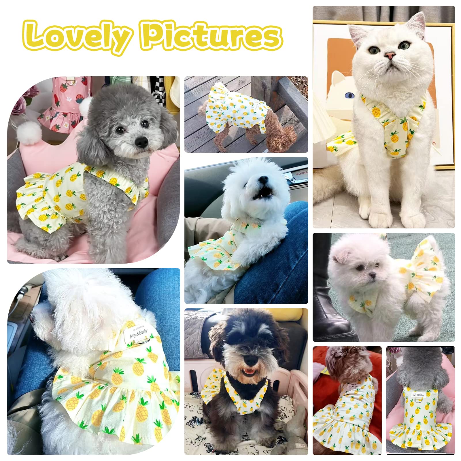 Petpubgnzs Small Dog & Cat Harness & Leash Set - Cute Princess Dresses For Girls & Boys In Pineapple, S Size