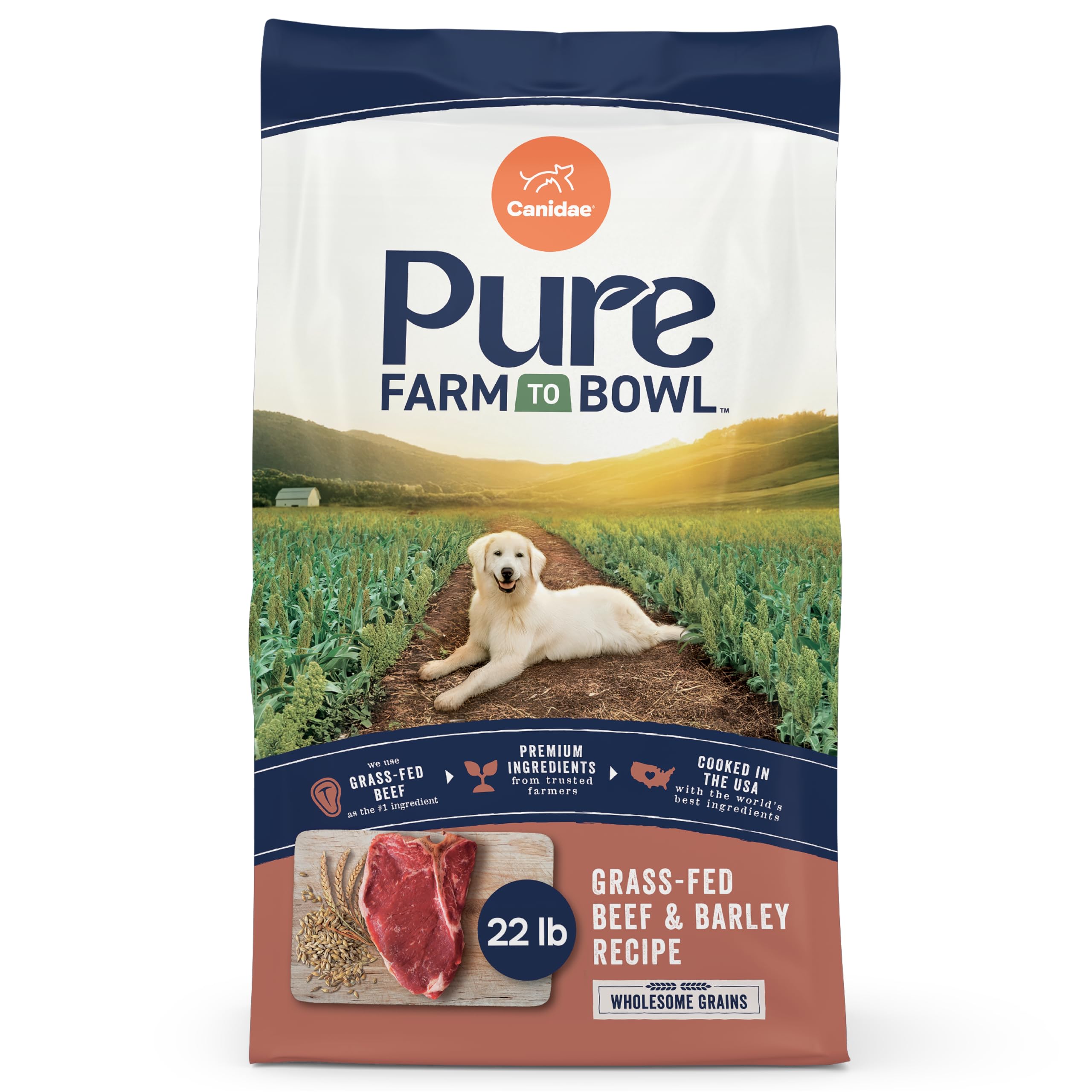 CANIDAE Pure Limited Ingredient Premium Adult Dry Dog Food, Real Beef & Barley Recipe, 22 lbs, with Wholesome Grains