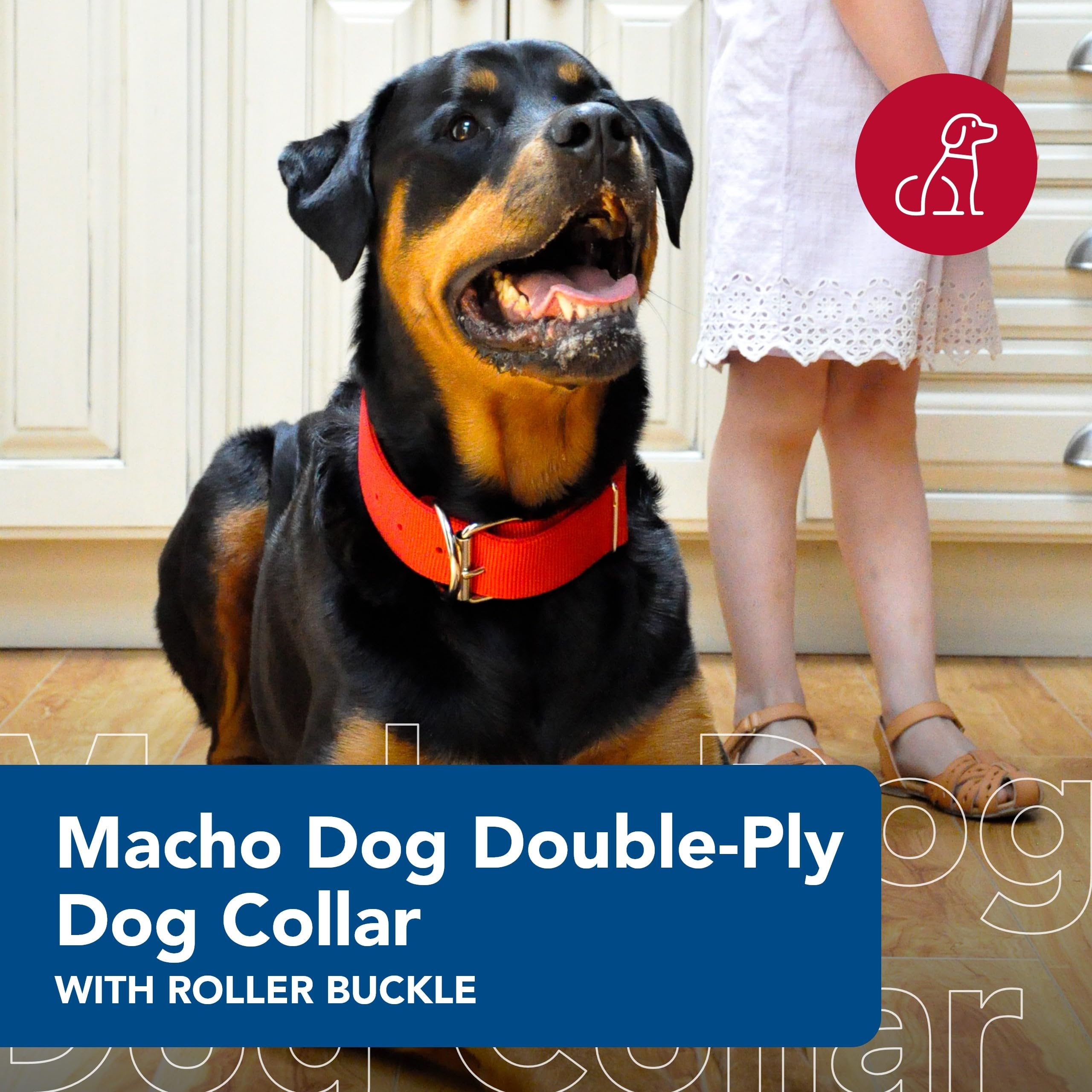 Coastal Macho Double-Ply Dog Collar - Heavy-Duty Nylon - Black - 20" - Comfortable with Roller Buckle