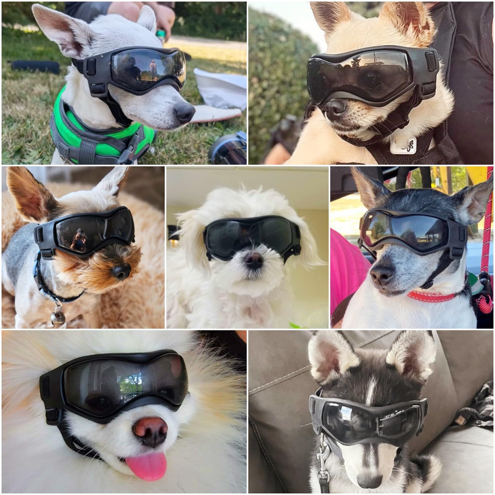 Enjoying Dog Sunglasses Small Breed, Uv Protection Dog Goggles Small Breed, Driving Puppy Eye Protection, Windproof Dustproof An