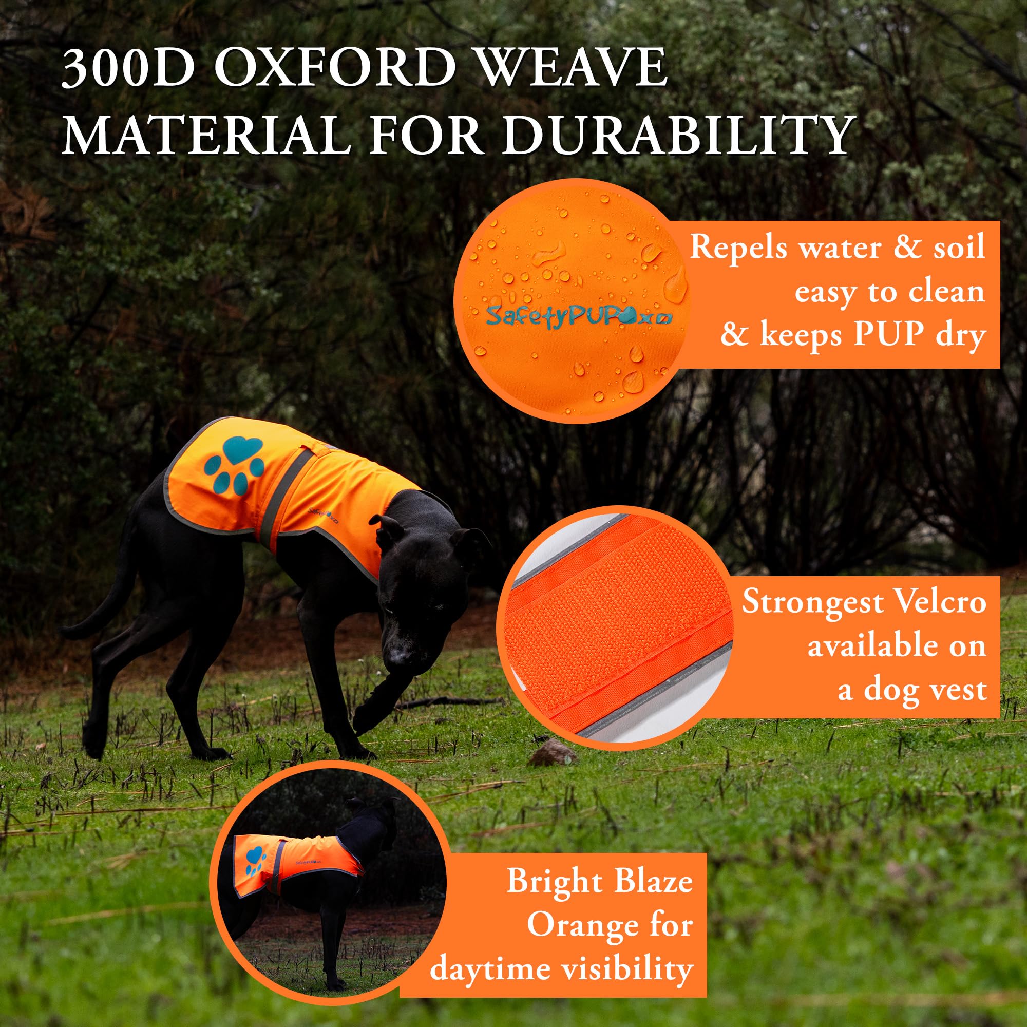 Safetypup Xd Reflective Dog Vest. Hi-Visibility, Fluorescent Blaze Orange Dog Vest Helps Protect Your Best Friend. Safeguard Your Pup From Motorists & Hunting Accidents, On Or Off Leash. (Large)