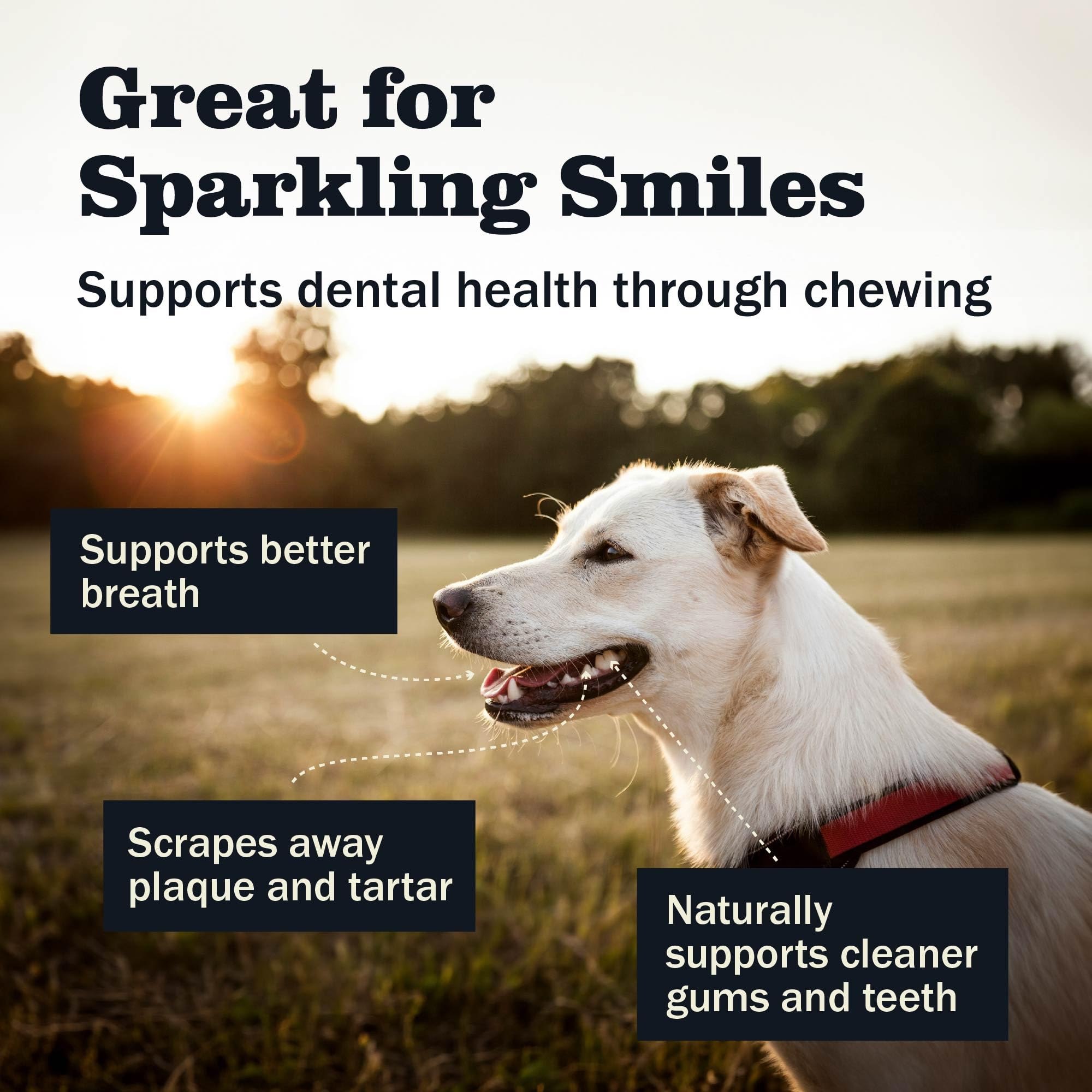 Redbarn Chew-A-Bulls, 6 Pack - Large Brush Shape Dog Dental Treats - Daily Oral Care with Fun Ridges & Grooves, All Natural Ingr