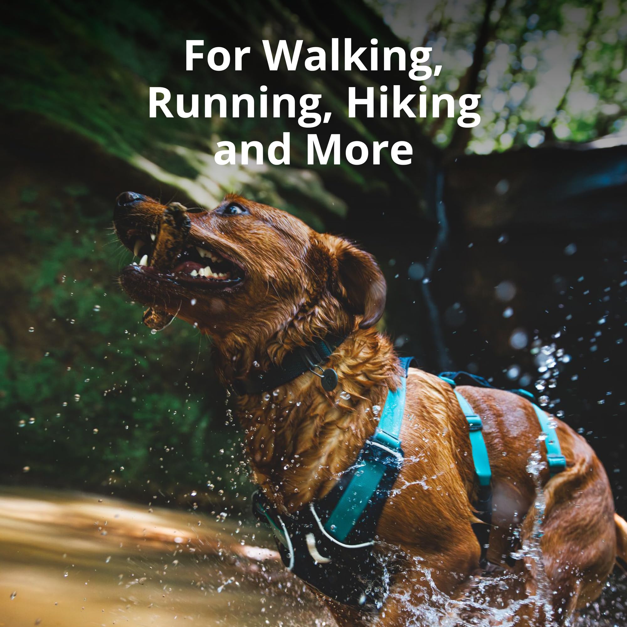 Ruffwear, Flagline Dog Harness, Lightweight And Reflective, No Pull Dog Lift Harness For Hiking, Running And Everyday Use, Basal