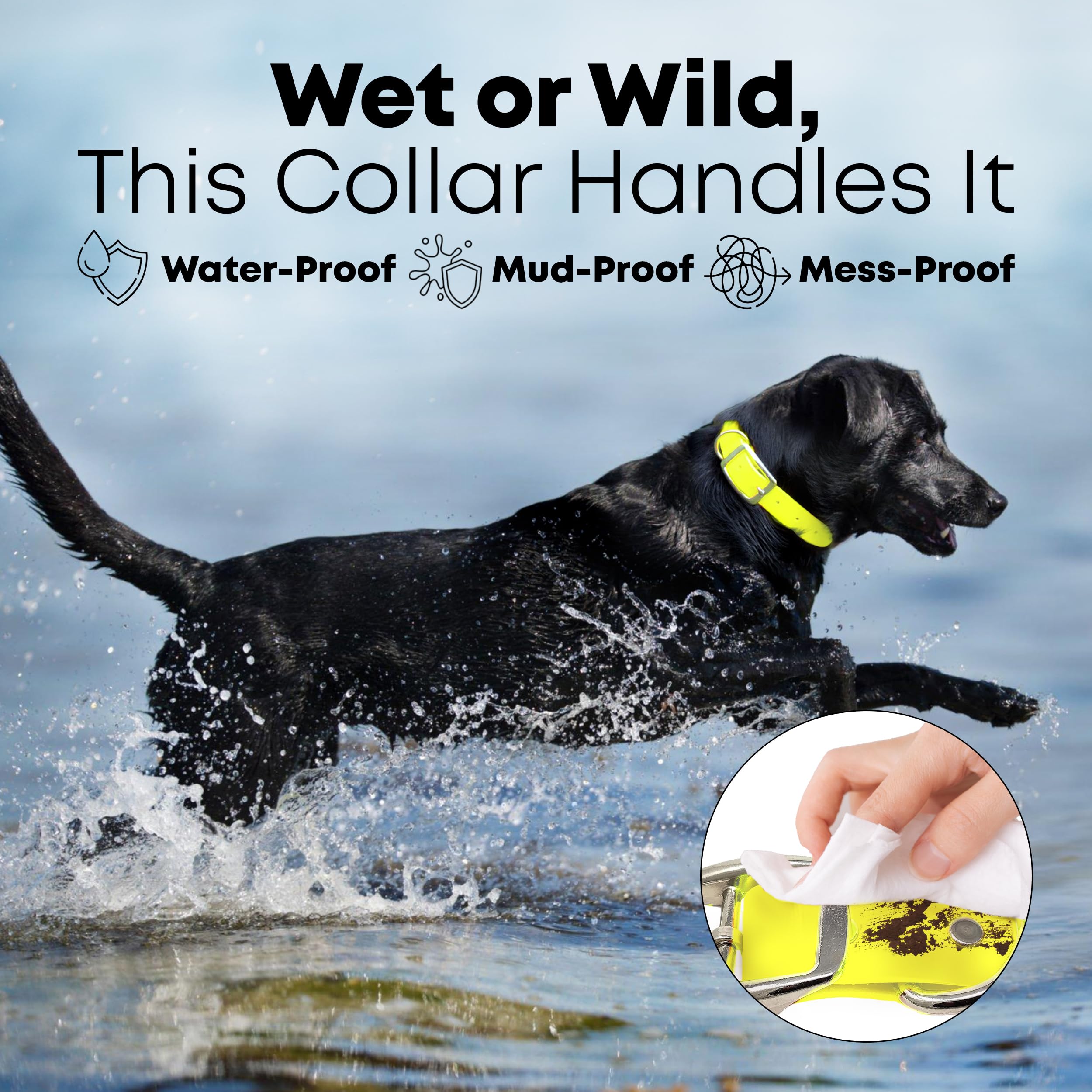 Regal Dog Products Medium Yellow Waterproof Dog Collar And Leash Set - Vinyl Coated Biothane Pet Training Collar With Heavy Duty
