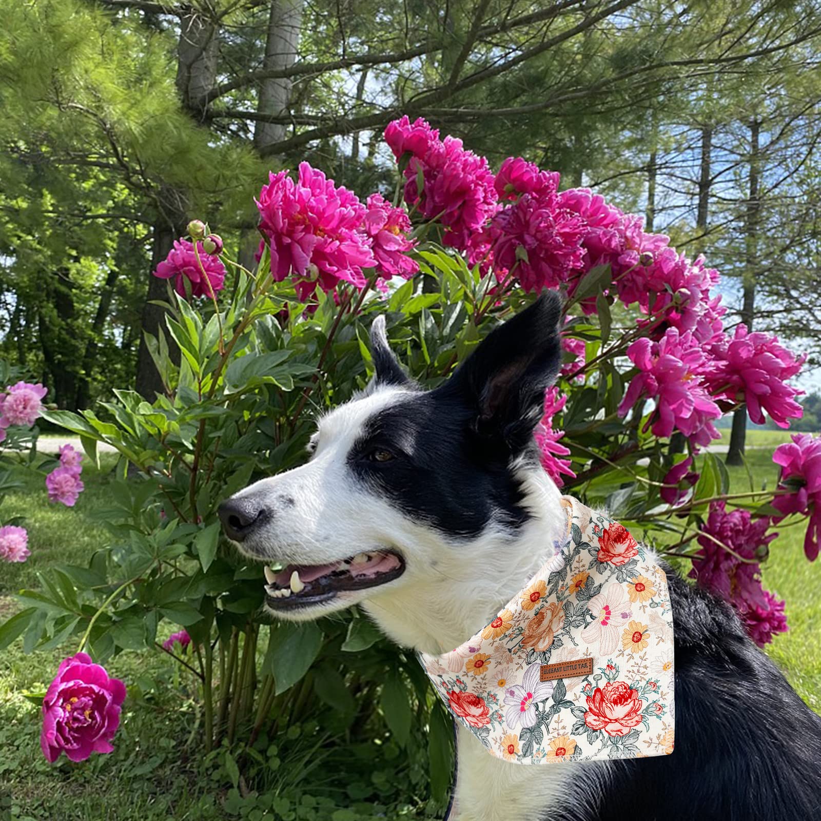 Elegant Little Tail Girl Dog Bandanas - Vintage Flower Pattern Dog Kerchief, Small/Medium/Large, Adjustable, Washable Square Sca