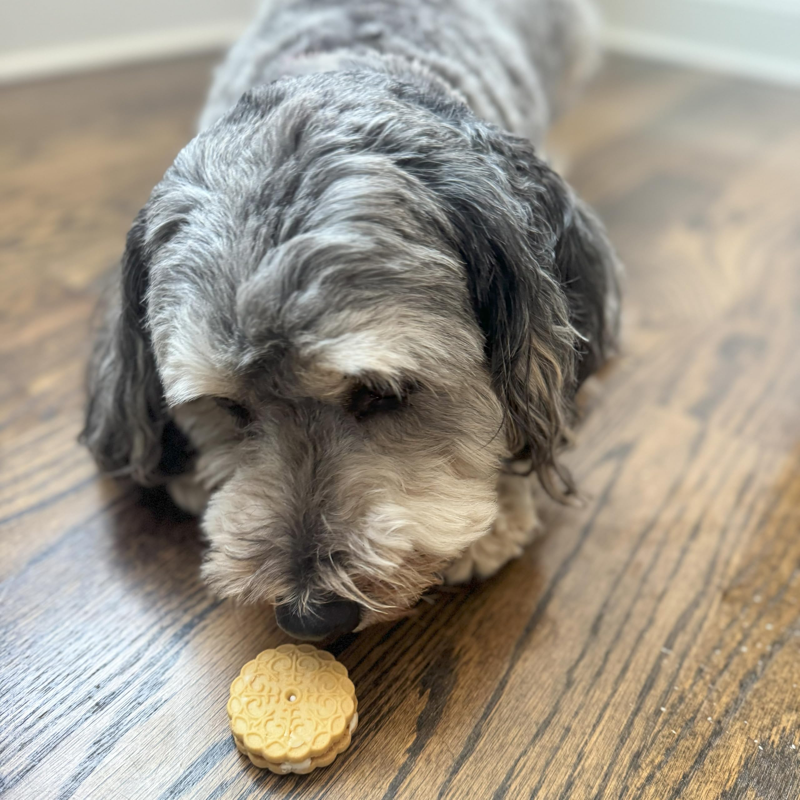Exclusively Dog Cookies Sandwich Cremes Vanilla Flavor Dog Treats for Medium and Large Dogs, Natural and Made in The USA, 8 oz
