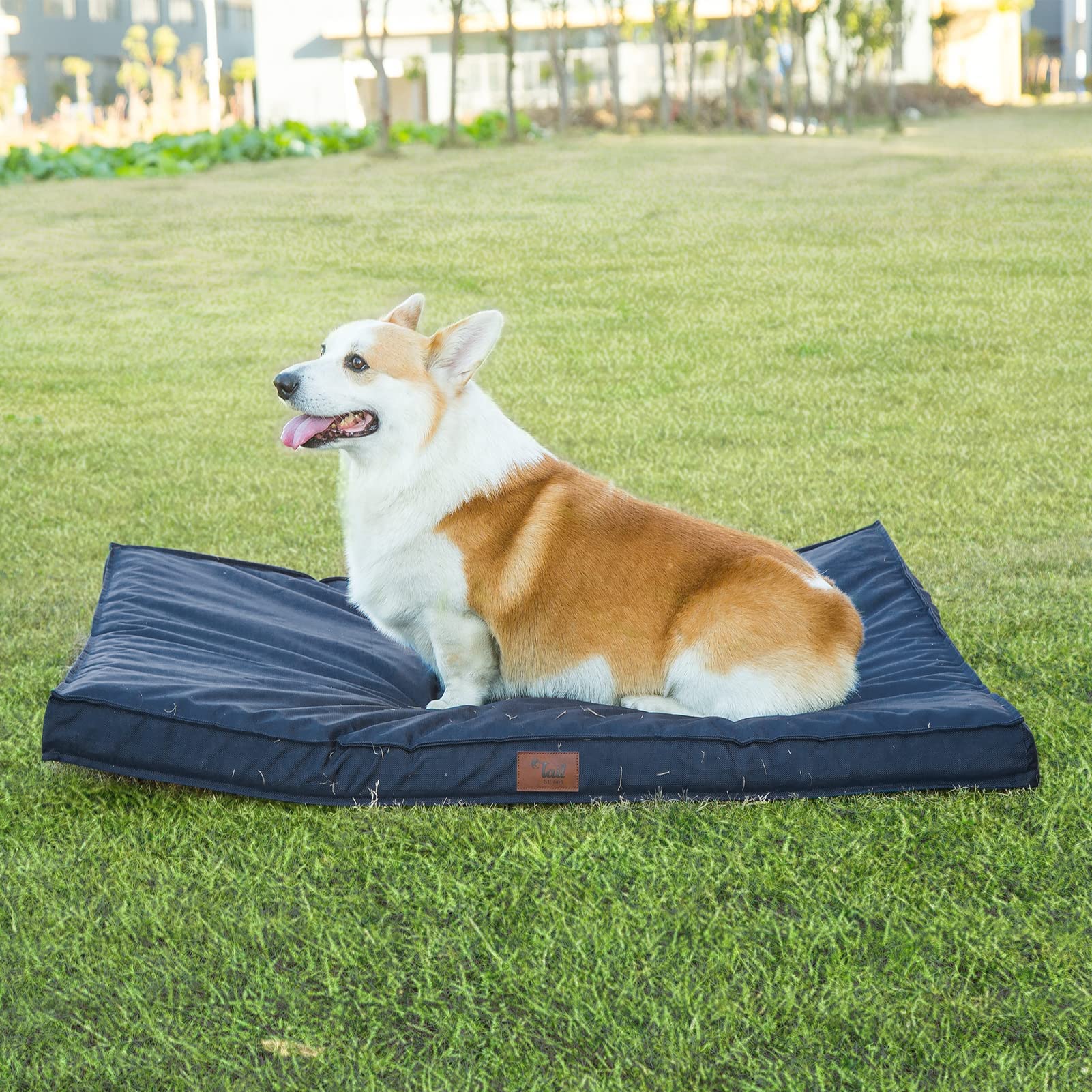 Tail Stories Outdoor Waterproof Dog Bed, Medium Navy, Orthopedic Egg Foam with Removable Cooling Cover