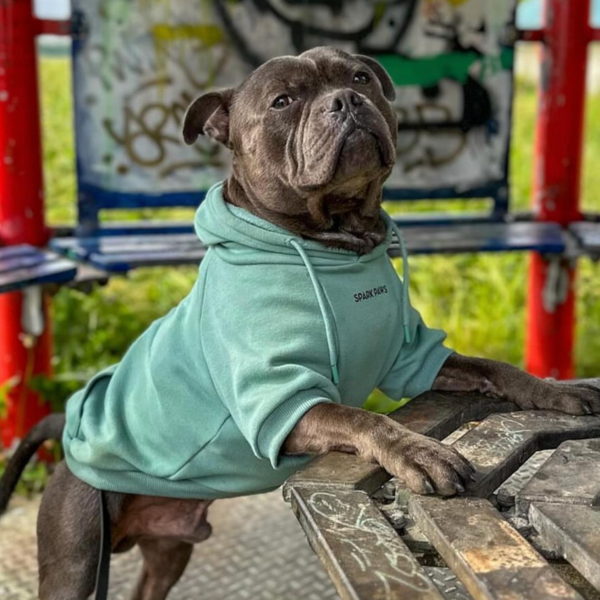 Spark Paws Dog Hoodie - Premium Quality, Buttery Soft, Superior Comfort And Fit, Calming Fleece Interior, Suitable For All Breeds - Teal - L