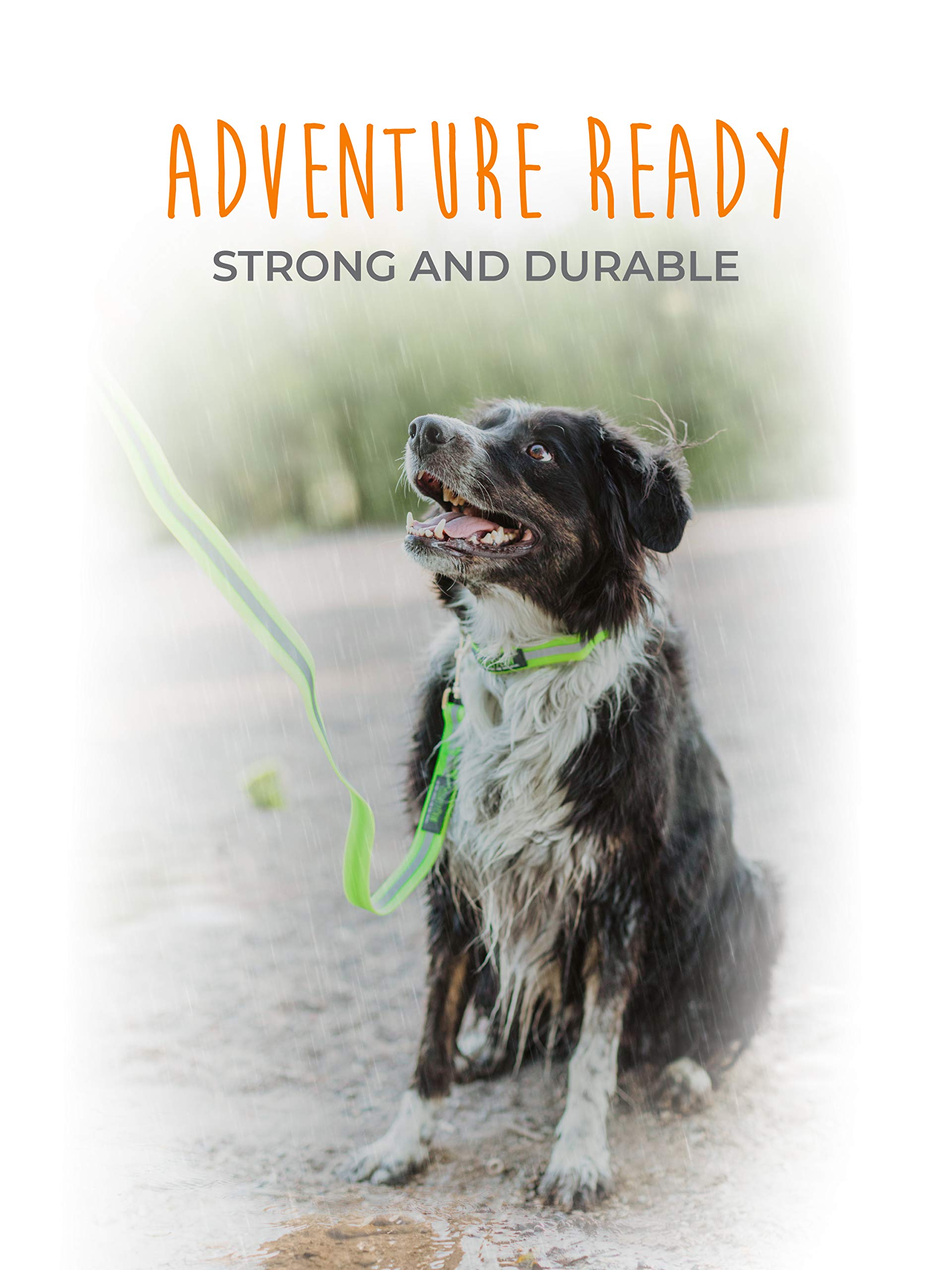 Mighty Paw Waterproof Dog Leash - Smell-Proof Pet Lead Against Dog Foot Smell - Ideal Nylon Reflective Dog Leash For Swimming - Camping - Hiking - Reflective Safety Stripe - 6 Foot Leash - Orange