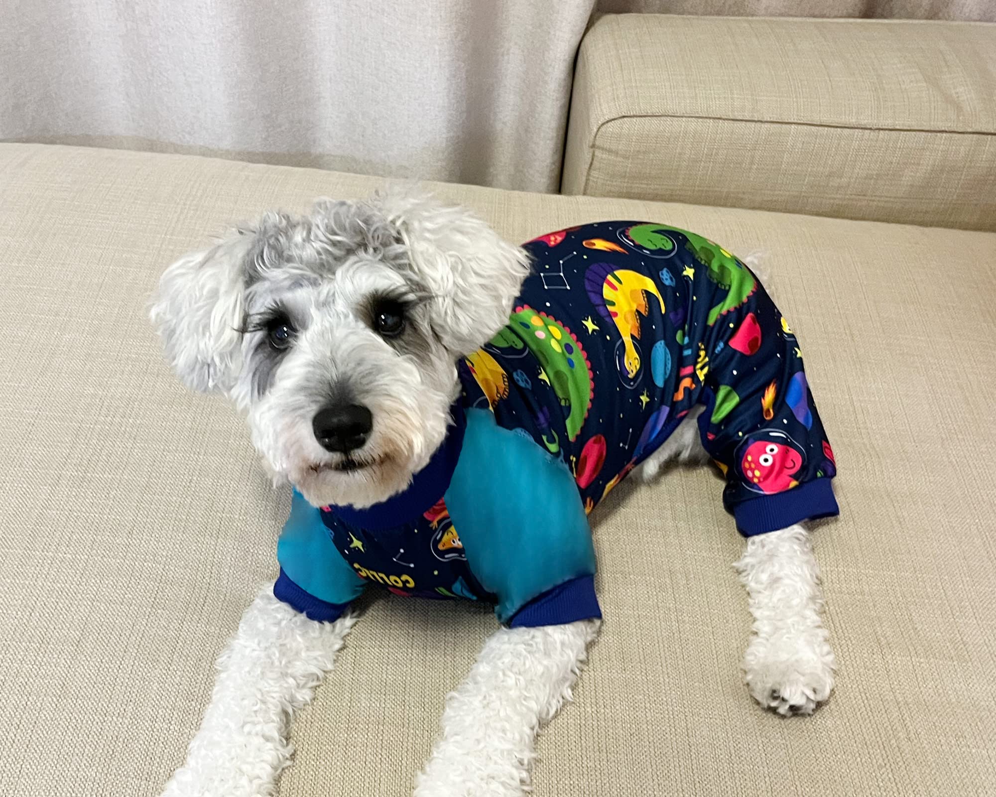 Xpudac Dog Pajamas Clothes For Small Dogs Boy Girl, Dog Pjs Puppy Onesies Outfits Pet Clothes For Dog Cat Christmas Pajamas, 4 Styles(Animal, Large)