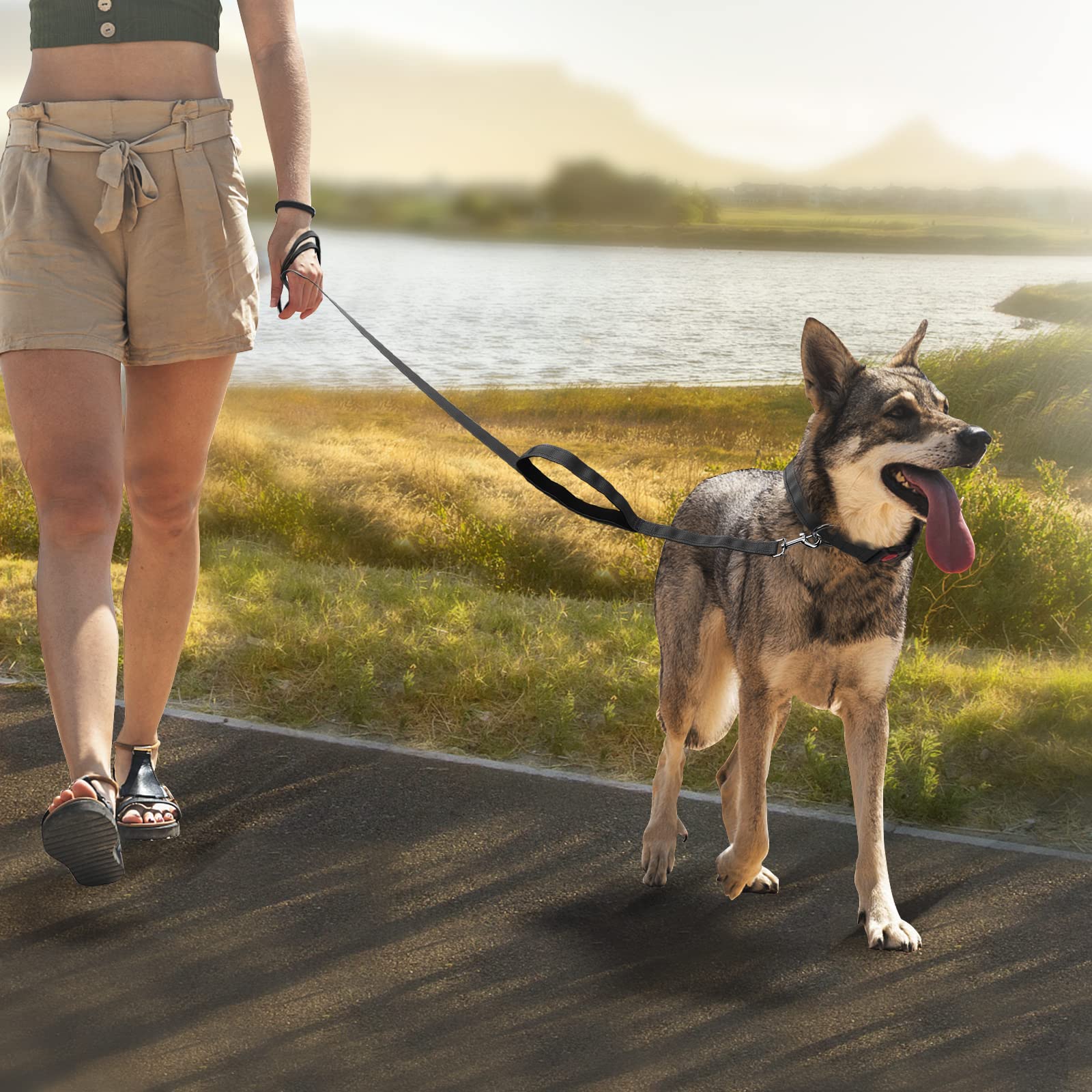 Tpotato Reflective Dog Collar And Leash Set,Adjustable Neoprene Padded Nylon Collars, 6 Ft Heavy Duty Dog Leash 2 Comfortable Ha