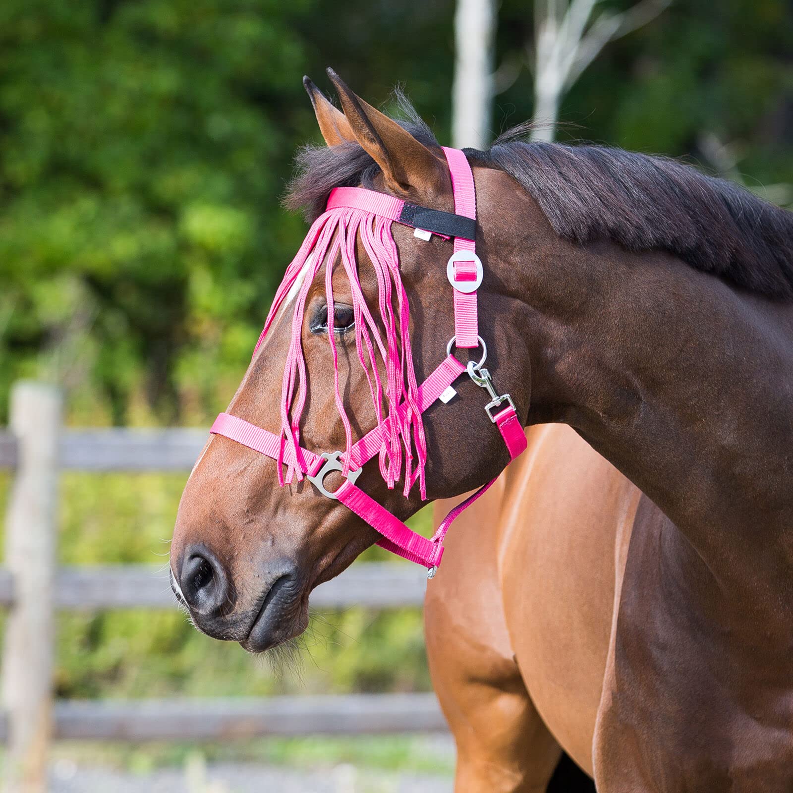 HORZE Lightweight Nylon Fringe Fly Veil - Easily Attaches to Halter - Raspberry Pink - Horse