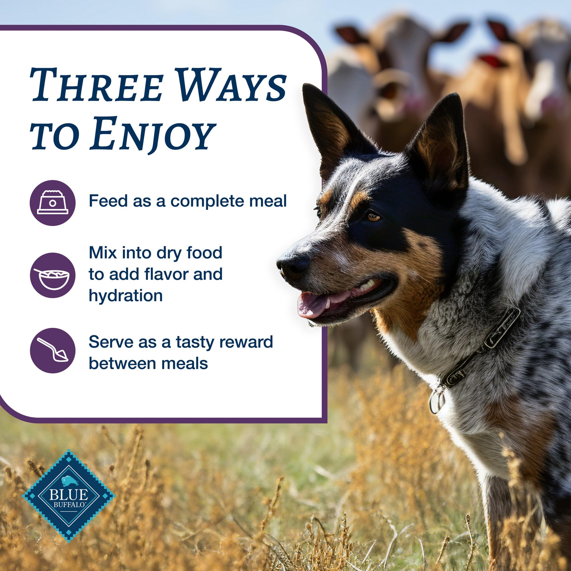 Blue Buffalo Family Favorites Adult Wet Dog Food, Made with Natural Ingredients, Shepherd s Pie, 12.5-oz Can (Pack of 12)