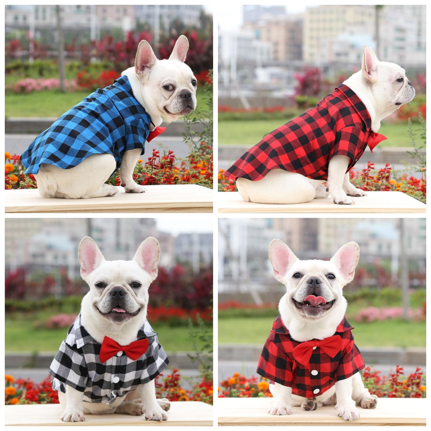 Tongcloud 3 Pack Plaid Puppy Cat & Dog Shirts For Extra Small Dogs & Cats - Birthday Party & Holiday Photos (Red, Blue & White,
