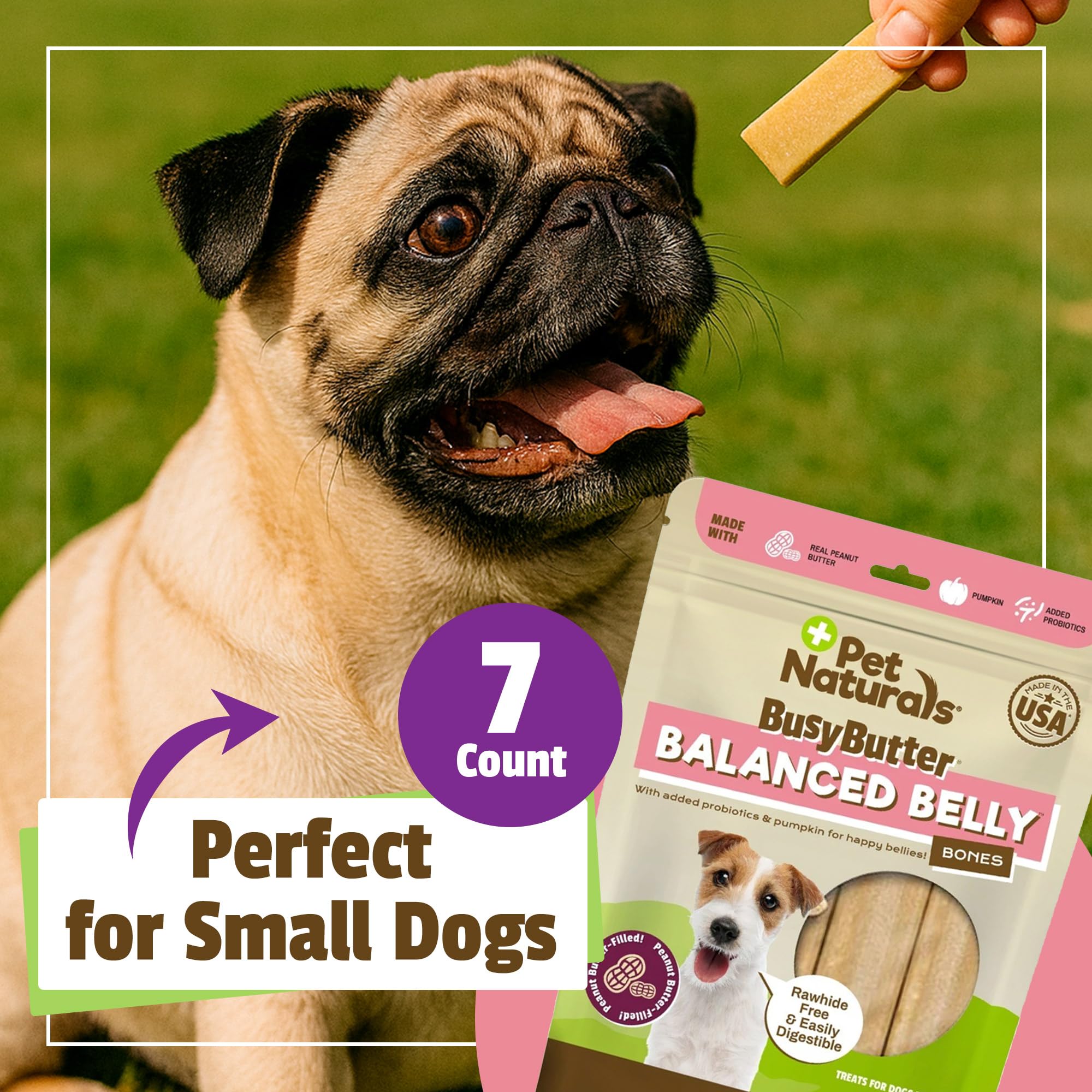 Pet Naturals BusyButter Balanced Belly Peanut Butter Bones, Rawhide-Free Chews for Small Dogs, Long Lasting Chew Bones, Probioti
