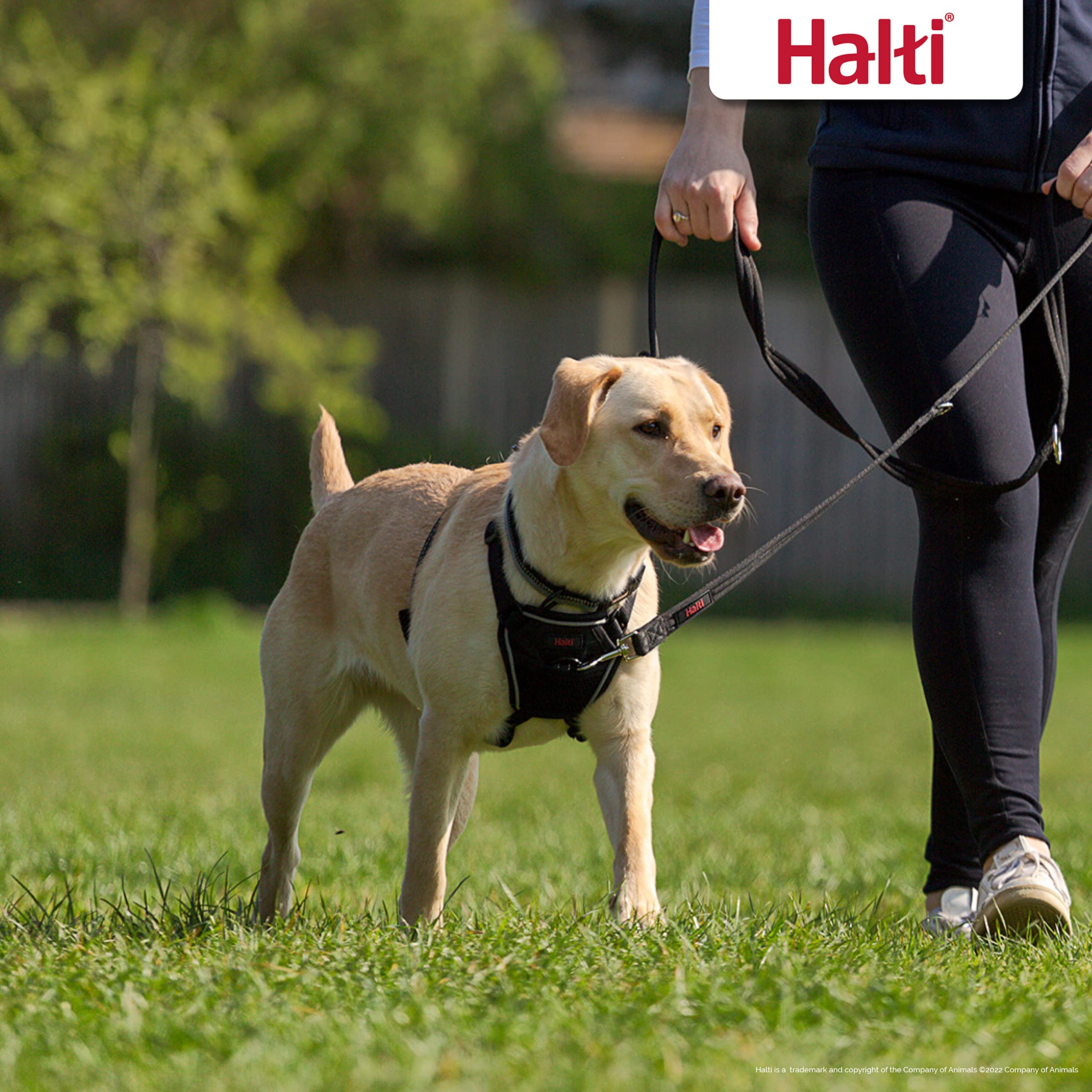 Halti No Pull Harness Size Large & Halti Training Leash Size Large, Black Combination Pack - Stop Your Dog Pulling On The Leash.