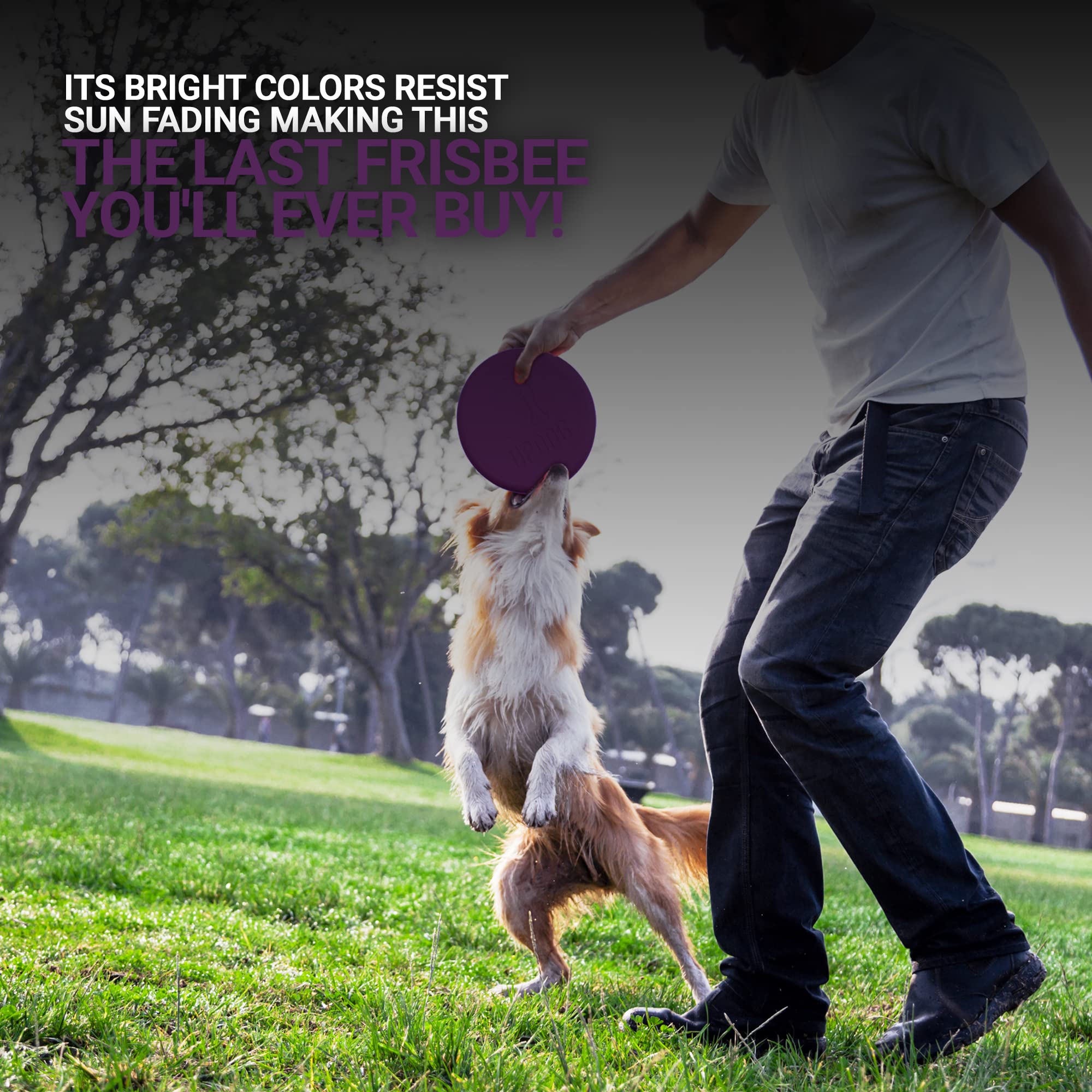 Updog Products 6-Inch Dog Frisbee Small, Lightweight And Durable Frisbee For Dogs Made In Usa Bright Colored Frisbee Dog Toy (Purple)