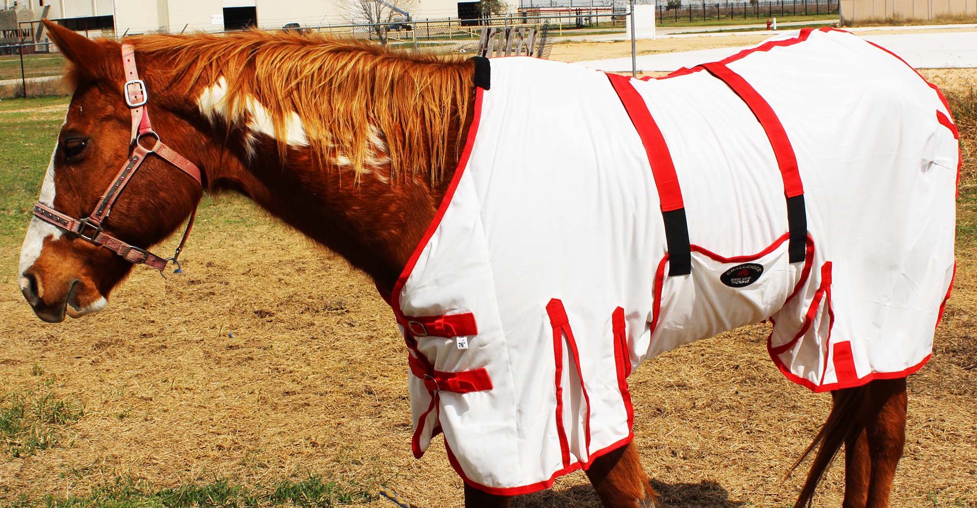 64 Horse Mesh Light Weight Summer FlySheet Spring Airflow White 73409B