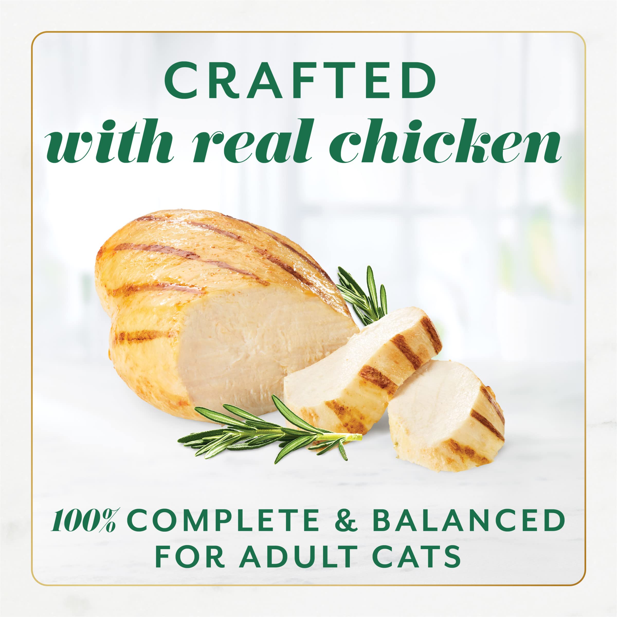 Fancy Feast Gems Pate Cat Food Mousse With Chicken and a Halo of Savory Gravy Cat Food - (Pack of 8) 4 oz. Boxes