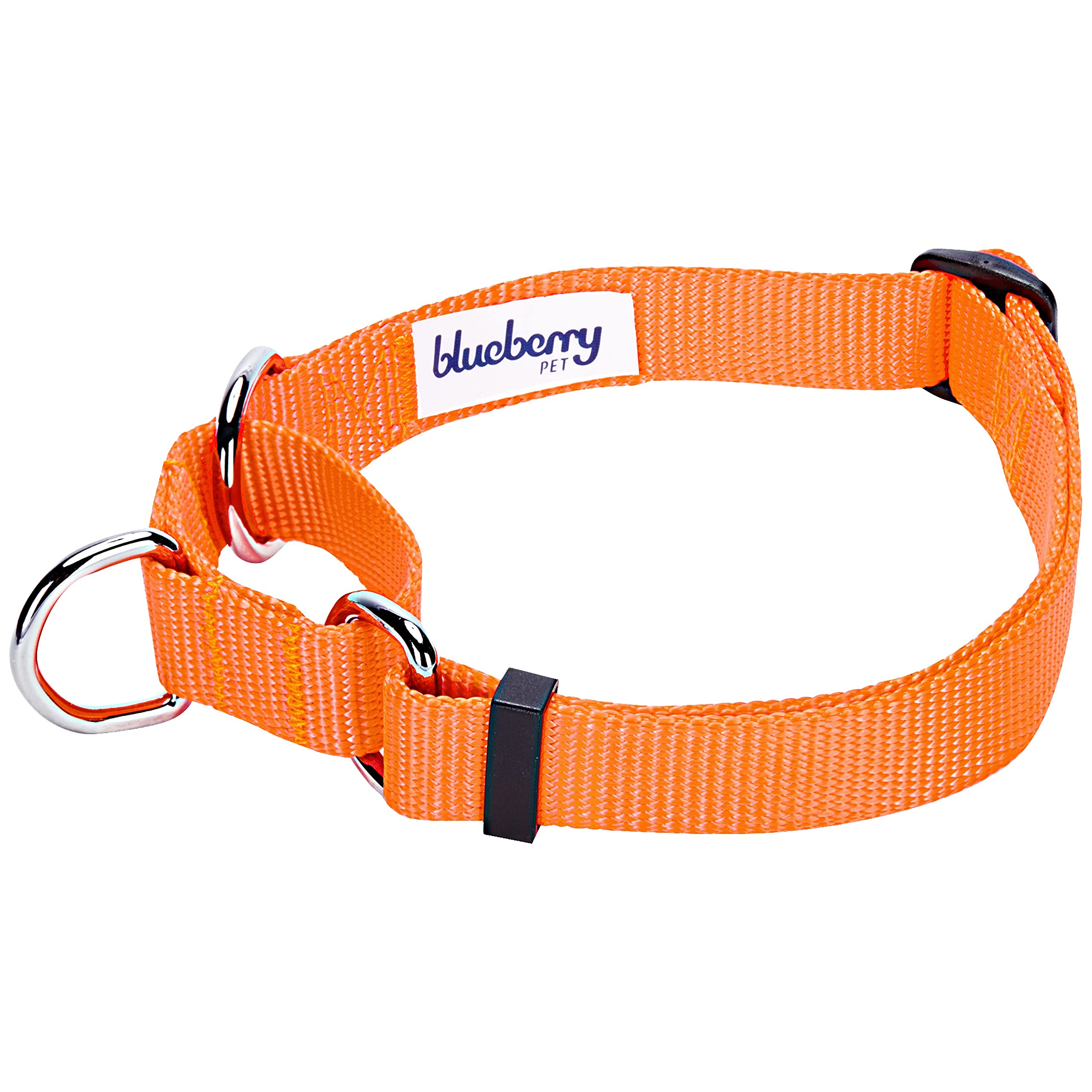 Blueberry Pet Essentials Martingale Safety Training Dog Collar, Florence Orange, Small, Heavy Duty Nylon Adjustable Collars For