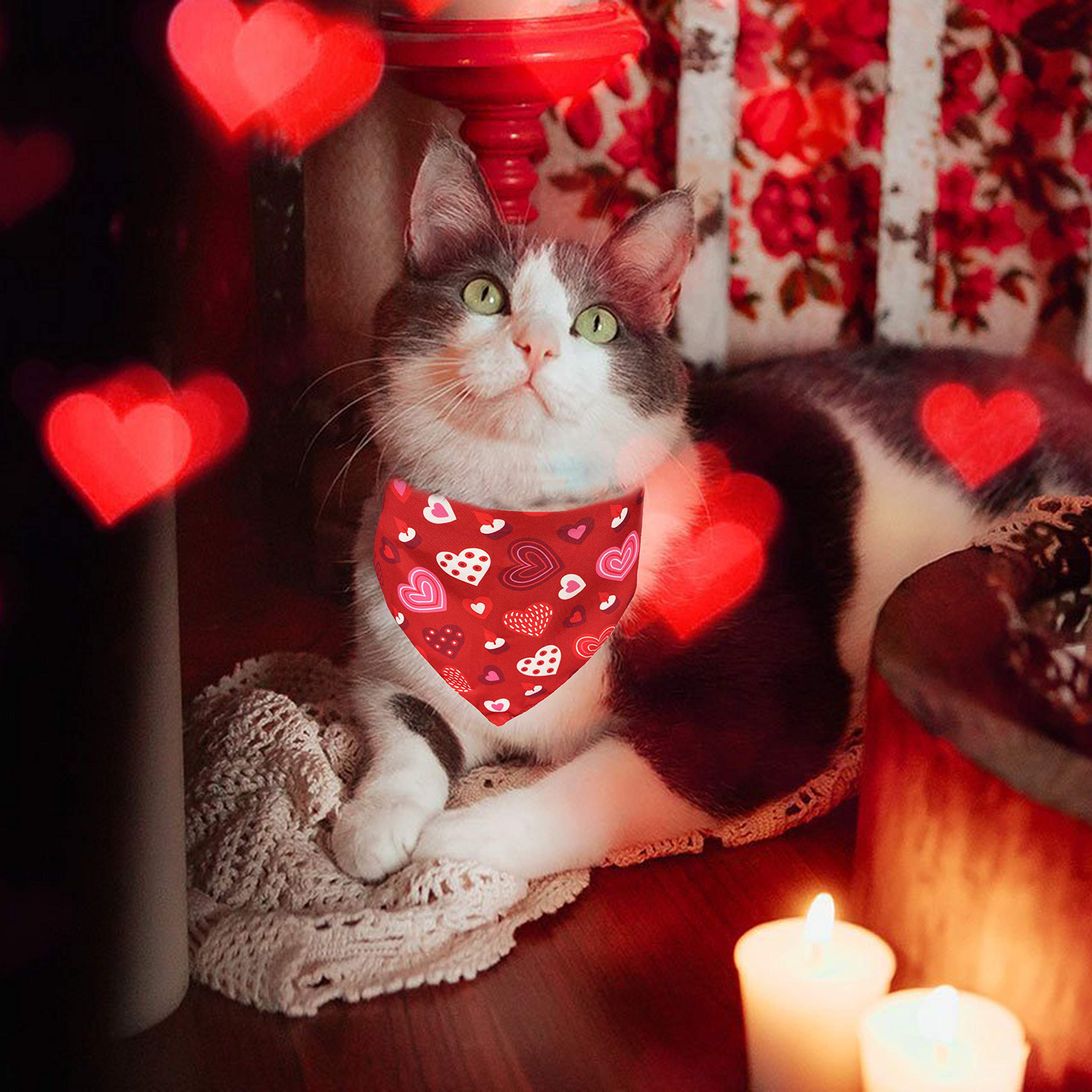 Valentines Dog Bandana, Holiday Cat Bandana Heart 2 Pack Scarfs For Small Medium Large Dogs Cats Pet Puppies
